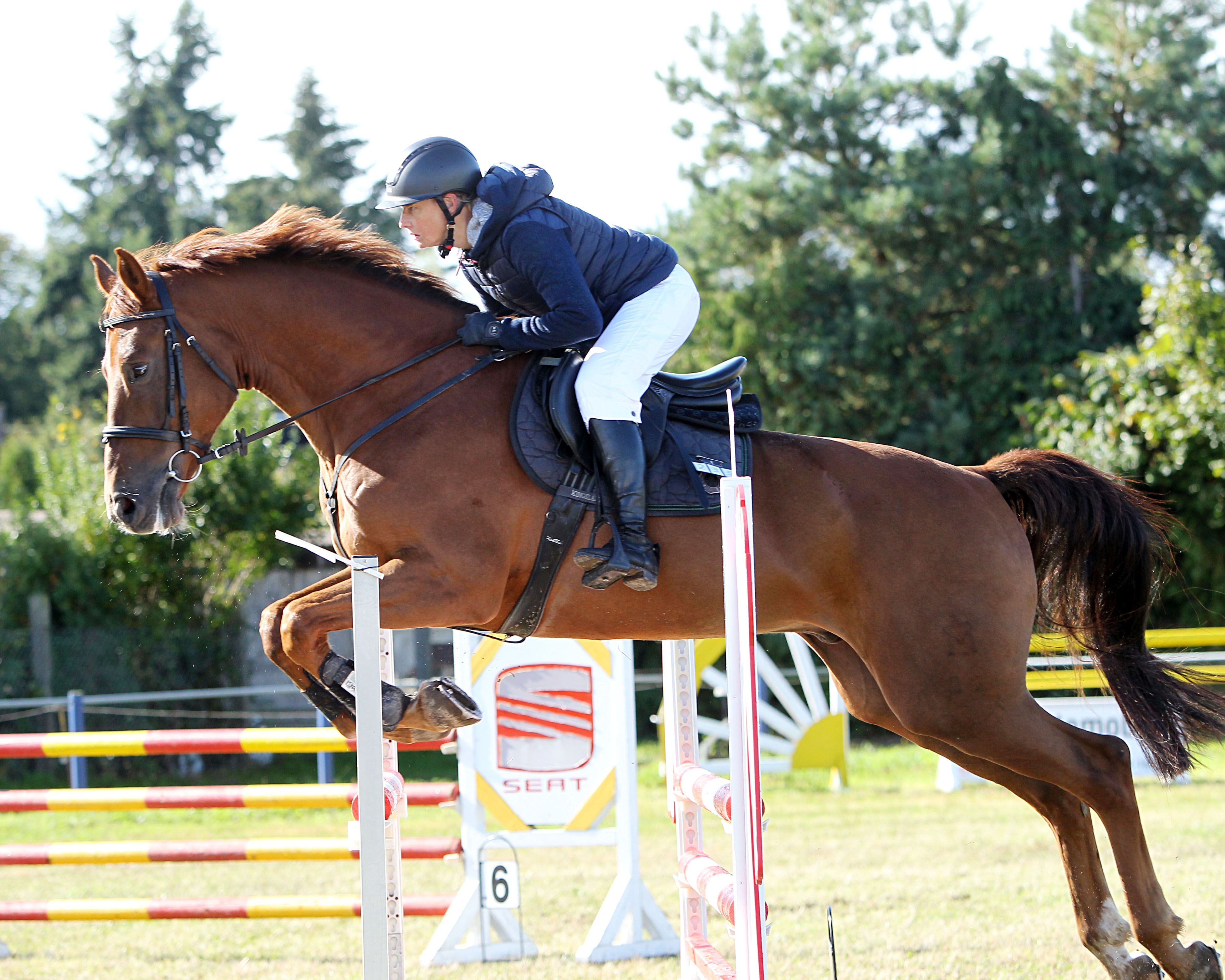 Fleesensee: M-Sieger wurden Wiebke Klatz, Laura Dabelstein und Bastian Philipp Walser