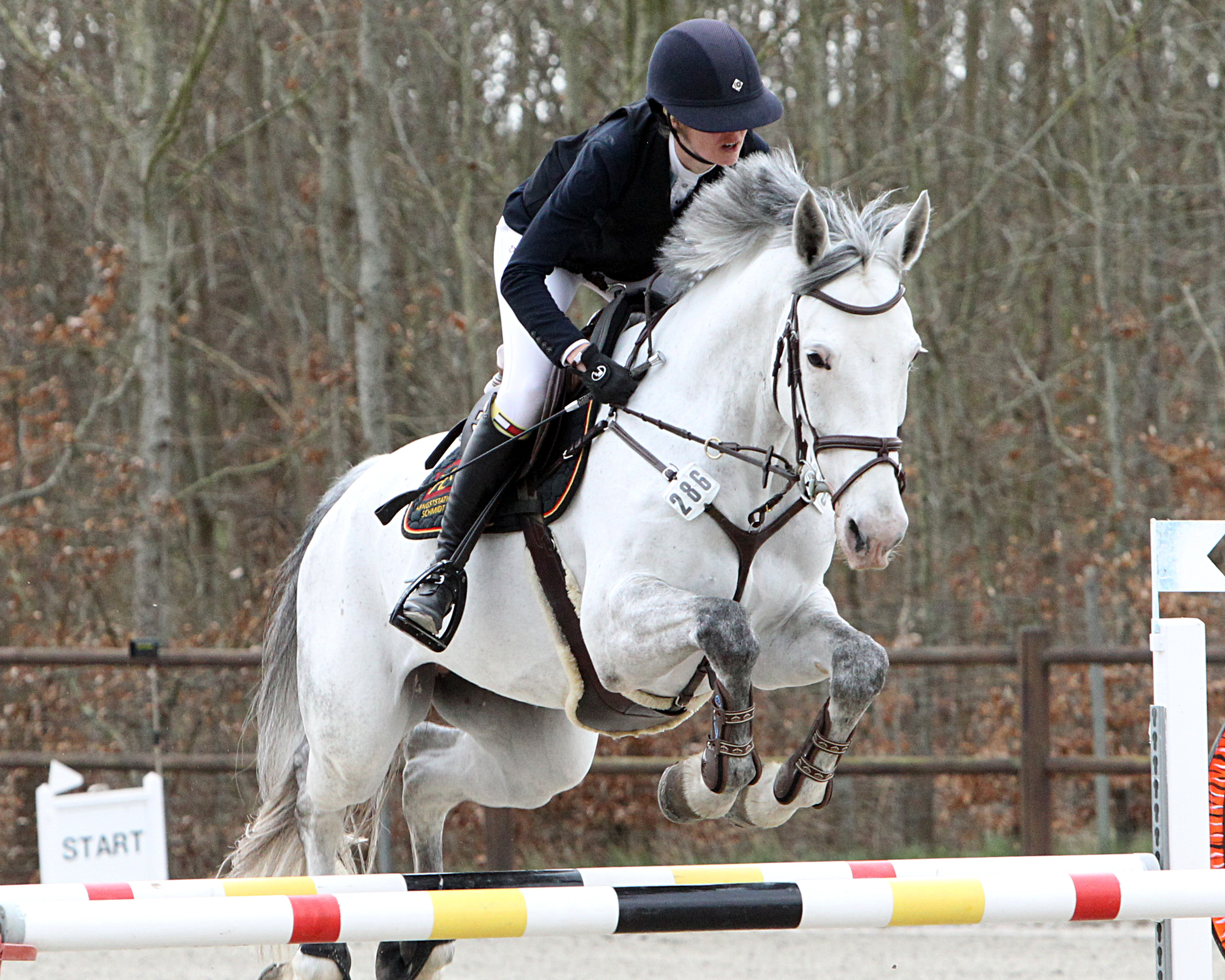 Hohen Wieschendorf: Glantz Equestrian präsentiert - Hallenreit-Adventsturnier