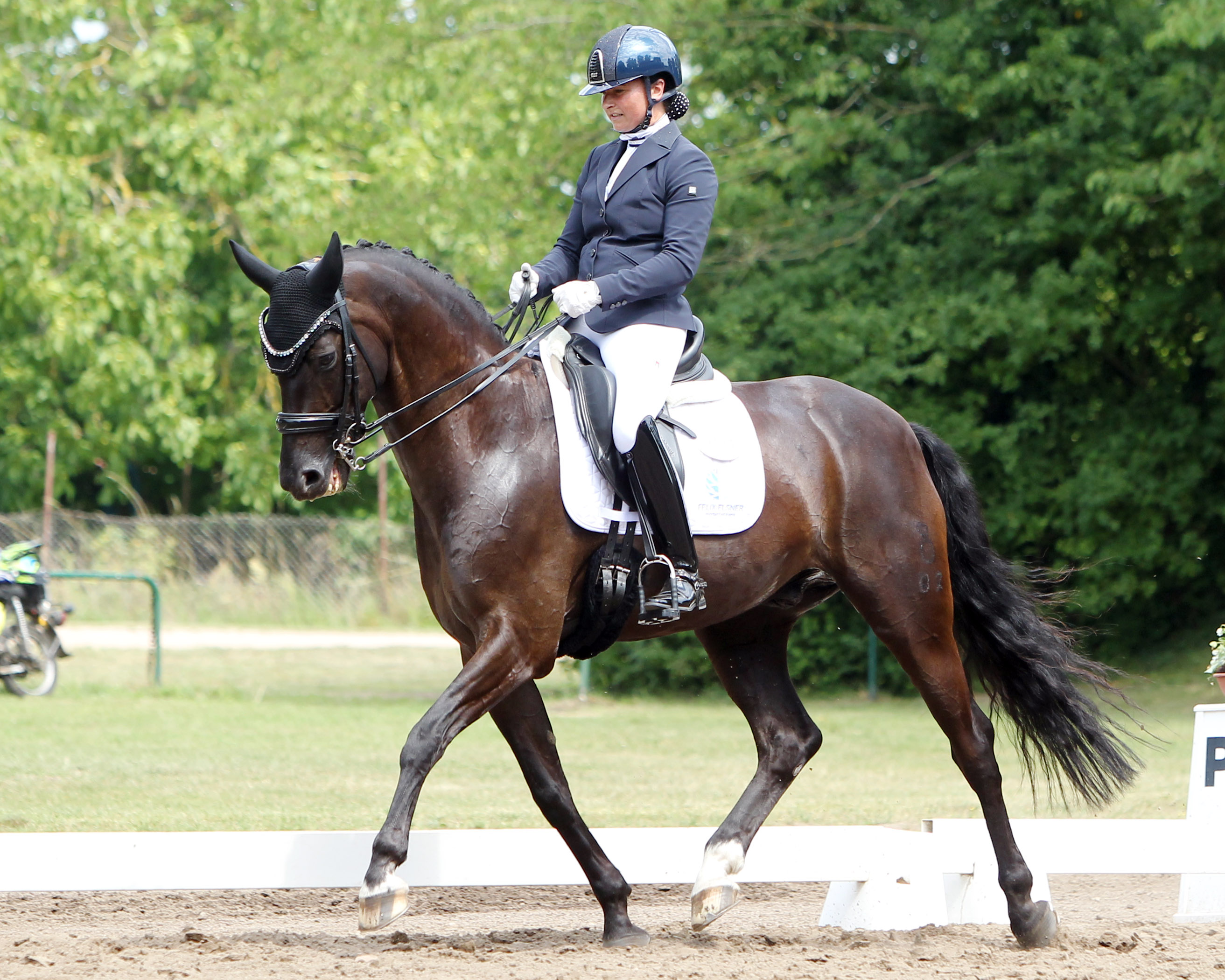 Ein S-Sieg und dreimal Zweite, das ist das Ergebnis von Susanne Voß TSR Güstrow) mit dem 10-jährigen Sezuan x Sandro Hit-Sohn Senzai beim Adventsturnier in Redefin. © Archiv Wego