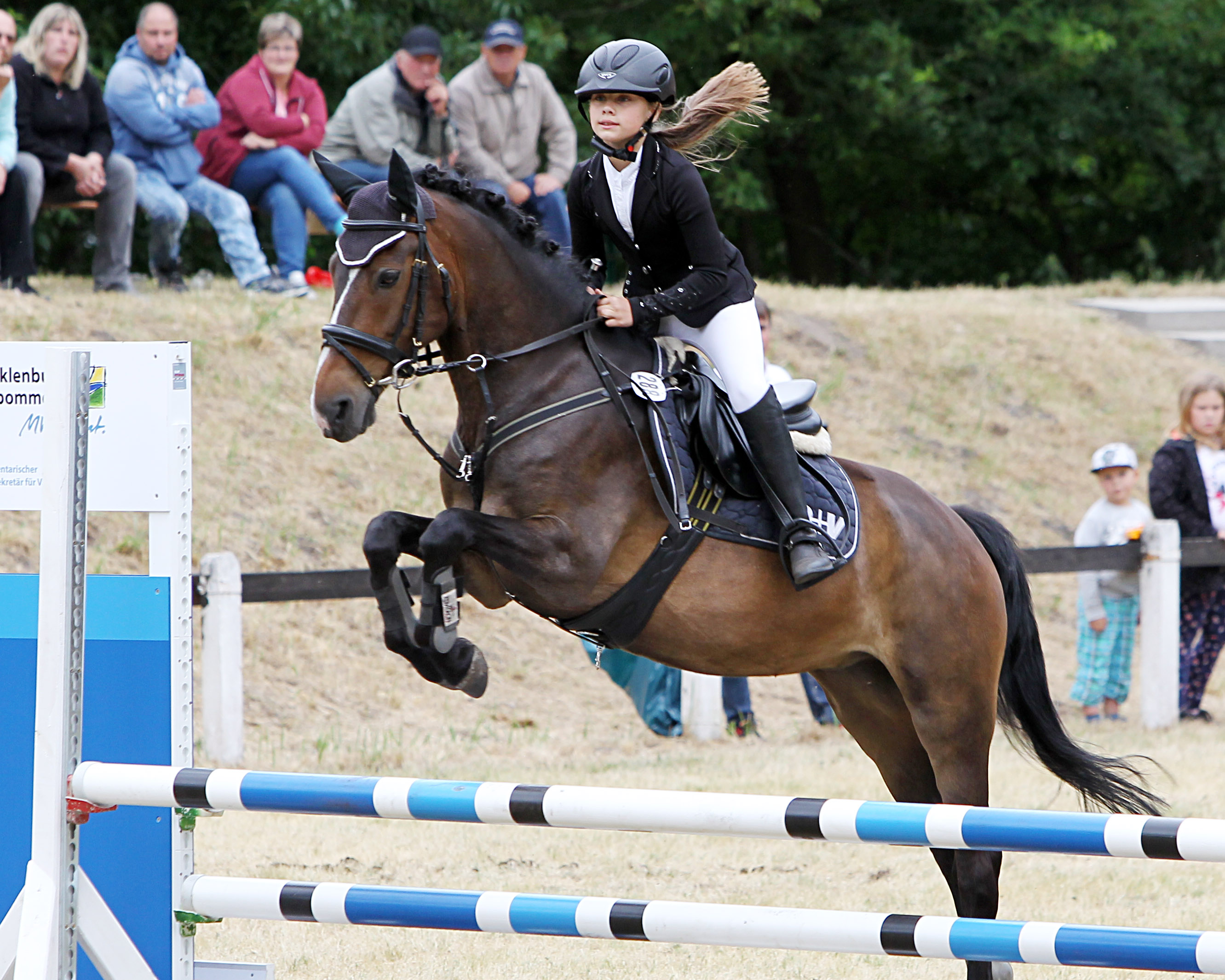New Forest Pony MOGLY abgetreten