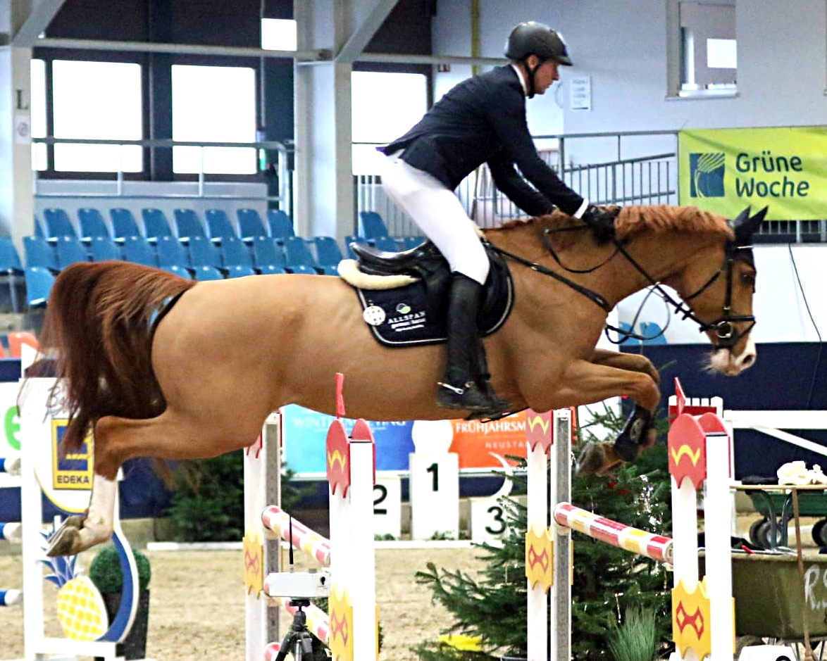 Andre Thieme nutze zwei M-Springen um seine Stute DSP Chakaria nach langer Pause wieder für höhere Aufgaben vorzubereiten. © KaLo