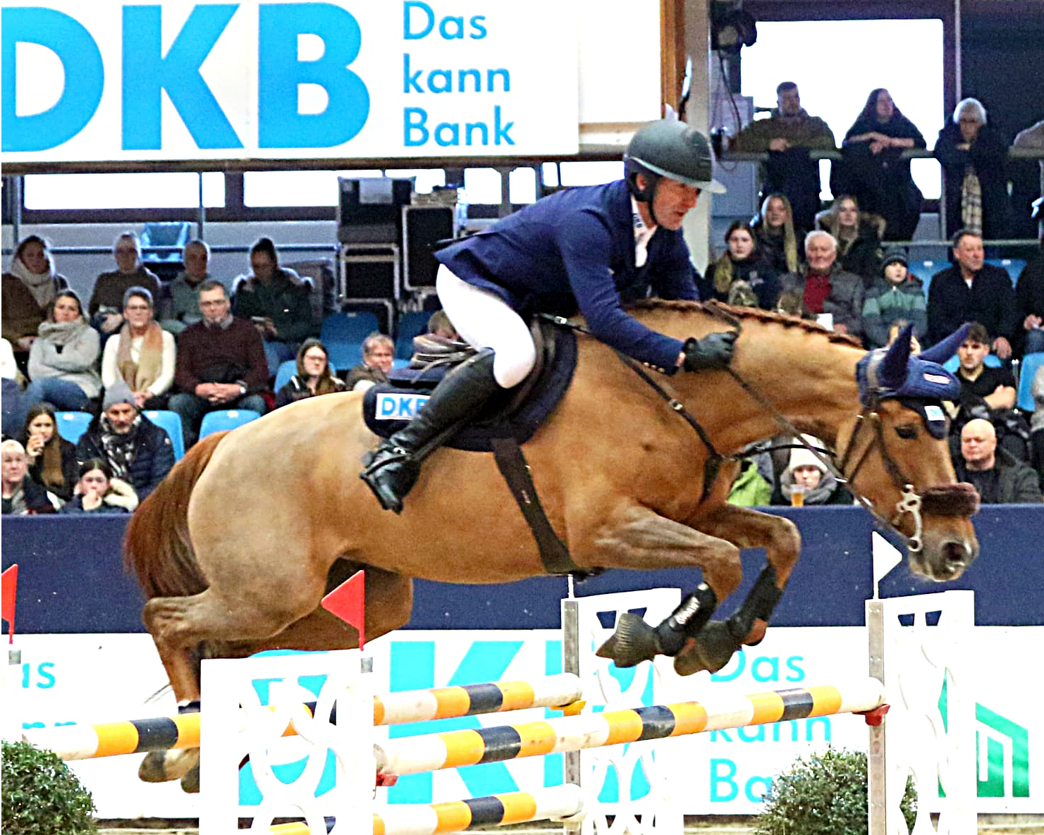 Holger Wulschner (Gr. Viegeln) wurde auf der 9-jährigen Stute Vega de Laubry Z als bester Deutscher Dritter im Großen Preis der Deutschen Kreditbank AG. © KaLo