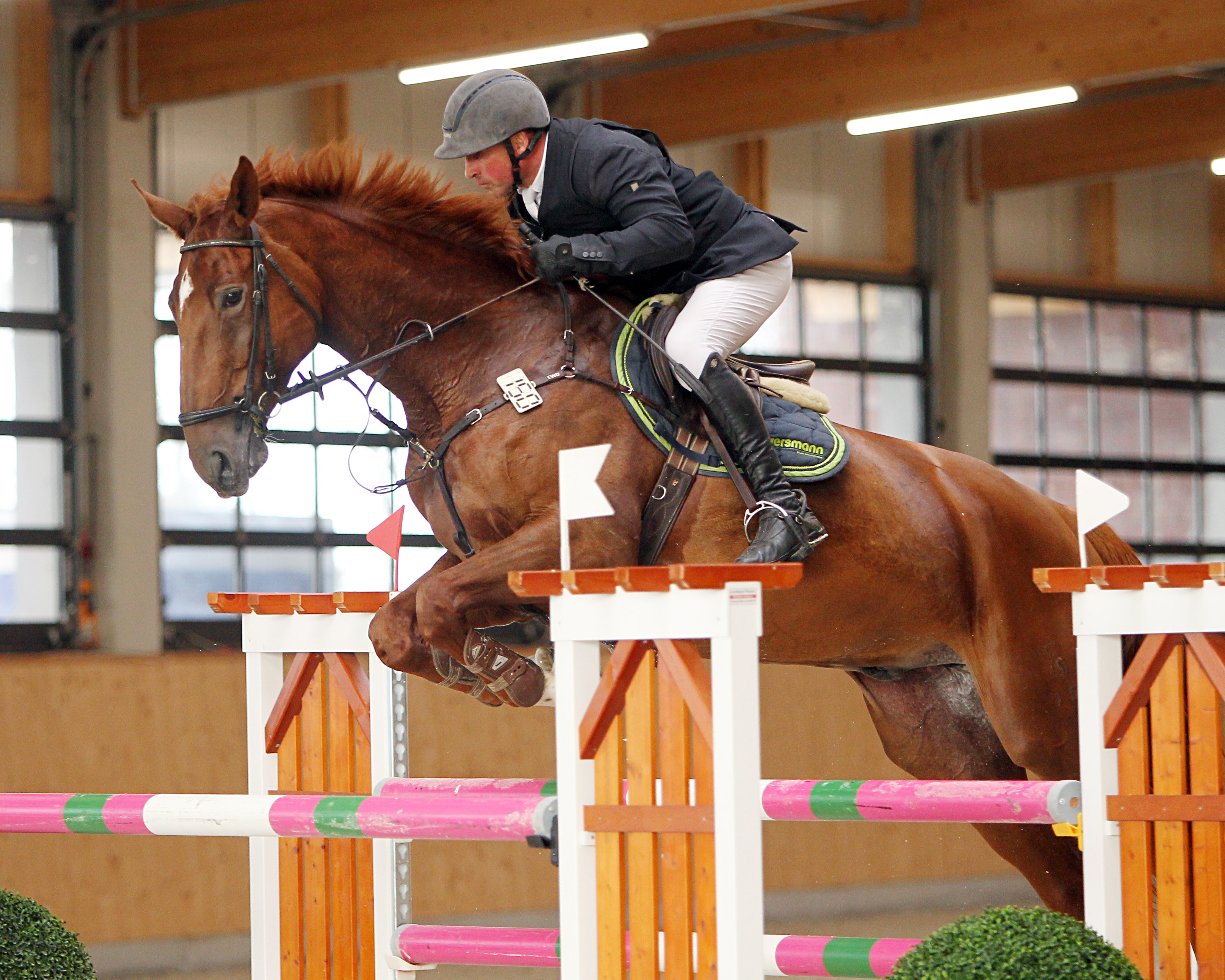 Berlin: Jörg Möller gewann den Großen Preis beim Hippologica Turnier 