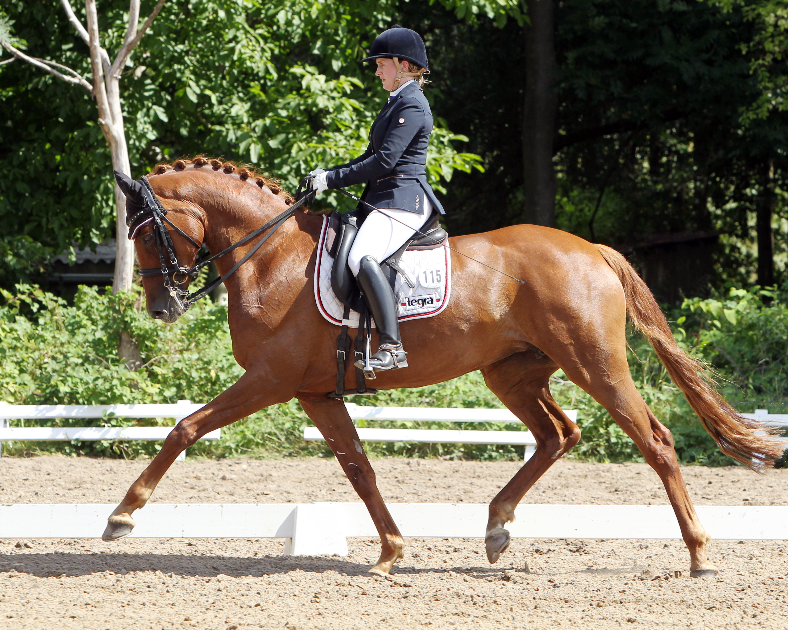 Victoria Appendino von RSC Wendorf bei den Hippologica Master Dressur in Berlin auf der 13-jährigen Stute Victoria´s Secret SL (v. Vitalis) die Bronzemedaille gewonnen. Das Foto zeigt sie mit Bambina Pirata SL. © Archiv J.Wego