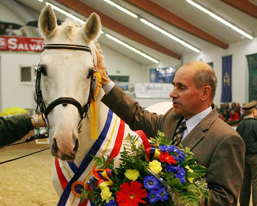 Hartmut Platzek als Landstallmeister im Rahmen einer Hengstpräsentation mit dem Hengst Adeptus (v. Alasca). © Jutta Wego