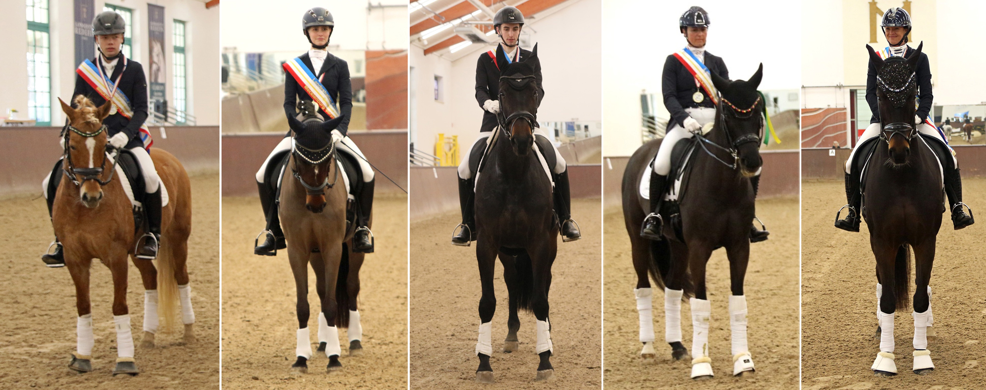 Die Goldmedaillengewinner im Landes-Hallenchampionat Dressur 2026: v. l. Julian de Kok (RFV Arkona) mit Golden Daylight Dream W, Corinne Rieger (RC Passin) mit Nix Niles, Carl Uli Voß (SV Gielow) mit Donna Revoluna, Susanne Voß (TSP Güstrow) mit Senzai, Katja Gleisner (TSP Güstrow) Negros son. © KaLo