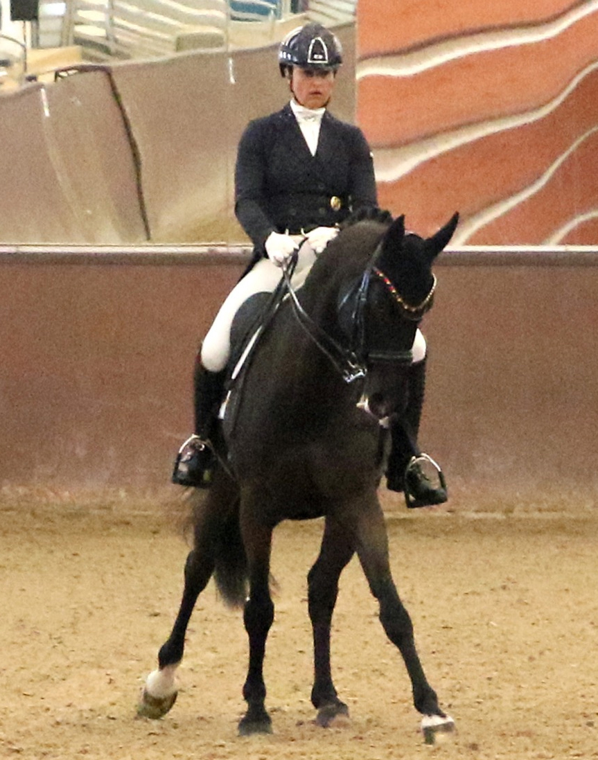 Susanne Voß (TSP Güstrow) gewann mit dem 11-jährige Sezuan-Sohn Senzai aus der Zucht und dem Besitz von Andreas Manski beide S-Dressuren. © KaLo