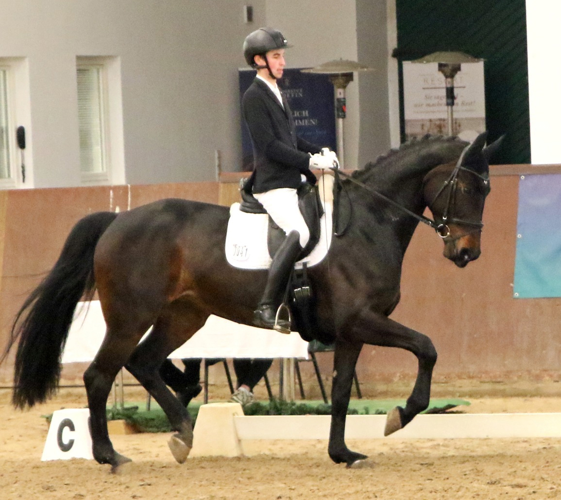 Carl Uli Voß vom SV Gielow war mit der 8-jährigen Donna Revoluna (v. Revolution) in der Summe bester U25 Reiter und holte sich die Goldmedaille. © KaLo