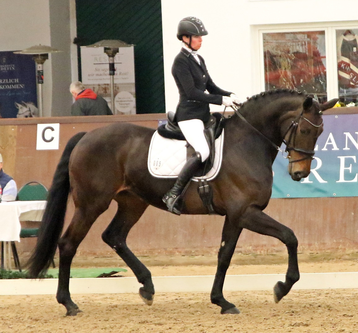 Siegerin der Zwei-Sterne M-Dressur am Sonntag wurde Andrea Elsholz aus Zierow auf der 9-jährigen Belantis-Stute Bella B. © KaLo