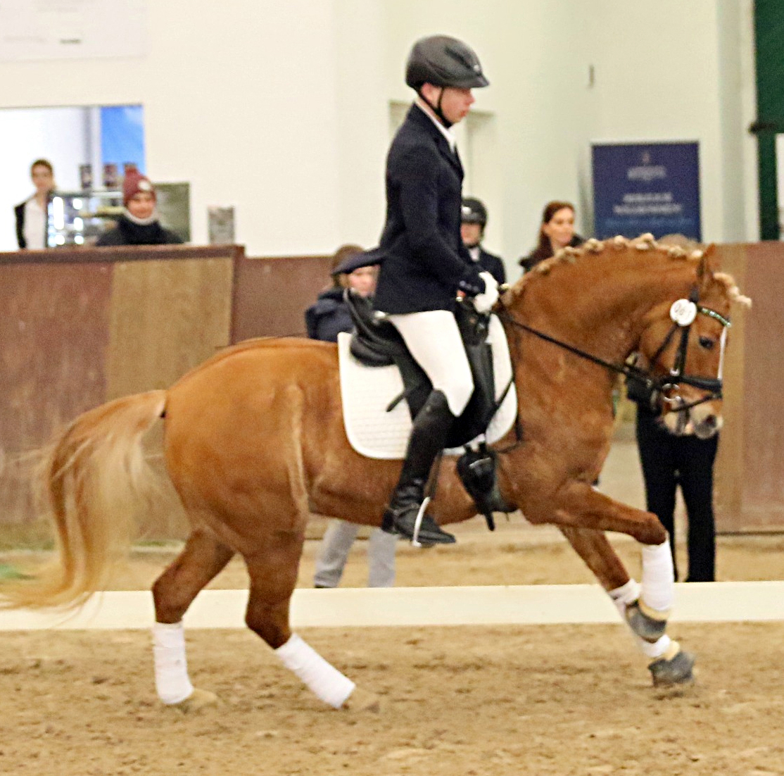 Mit Sieg und Platz 2 in den Wertungen Klasse A bei den U21 Reitern gewann Julian de Kok (RFV Arkona) mit Pony Golden Daylight Dream W Gold.