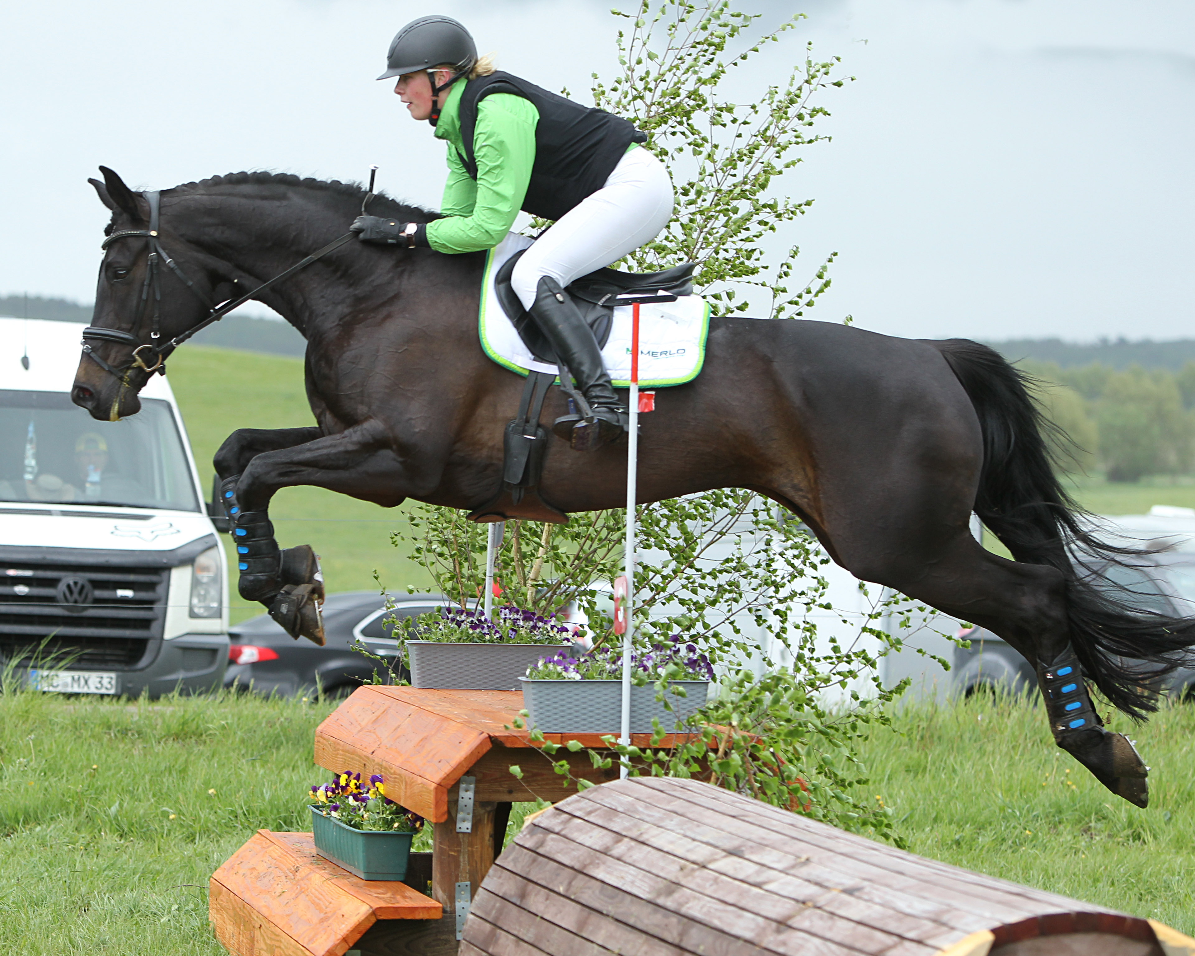 Maja Lina Rohlfing - hier im heimischen Gelände mit Diandra K, sattelte den 17-jährigen Captain Veterano im CCI2* und kam auf Rang 21. © Jutta Wego