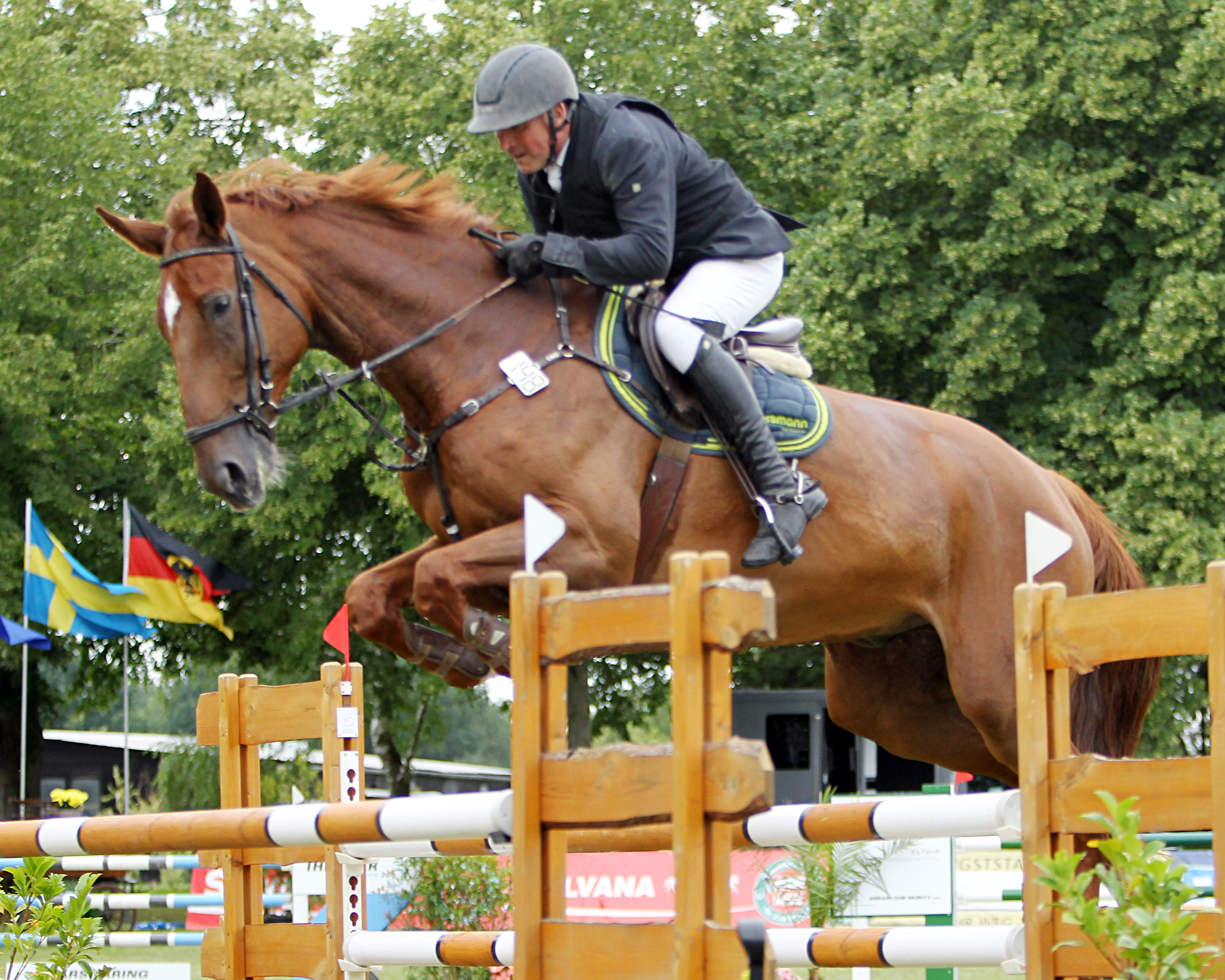 Scharnebeck: Jörg Möller gewann mit Chevalier den Großen Preis