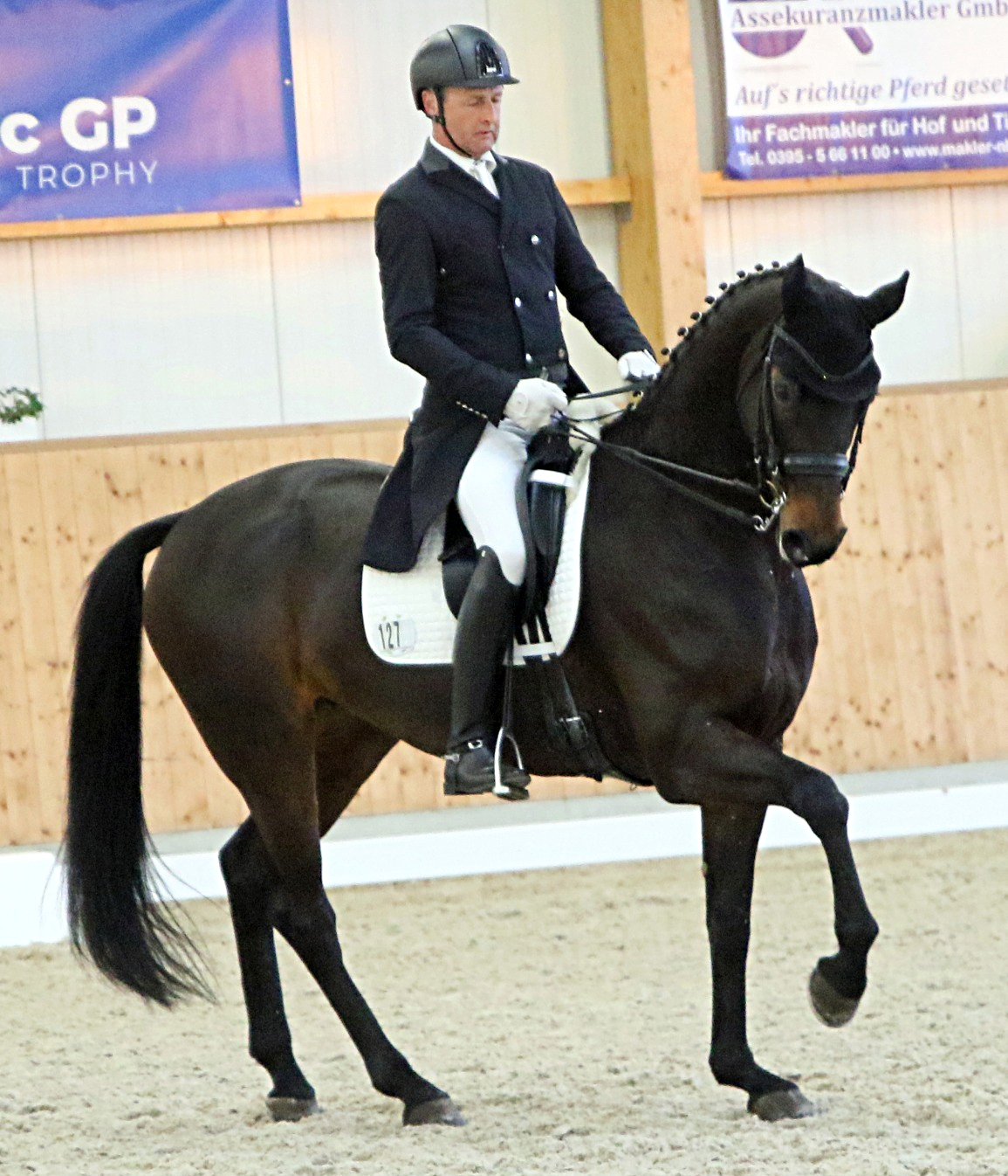 Ronald Lüders vertrat die Farben von MV mit der 10-jährige Stute Fabienne die Drei-Sterne-Prüfungen und wurde in der Intermediaire A Vierter. © KaLo