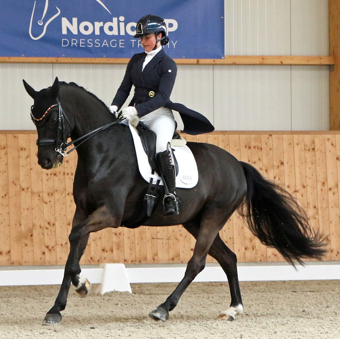 Landes-Hallen-Championess Susanne Voß (TSP Güstrow) wurde mit dem 11-jährigen Senzai in zwei S-Dressuren Zweite und Vierte. © KaLo