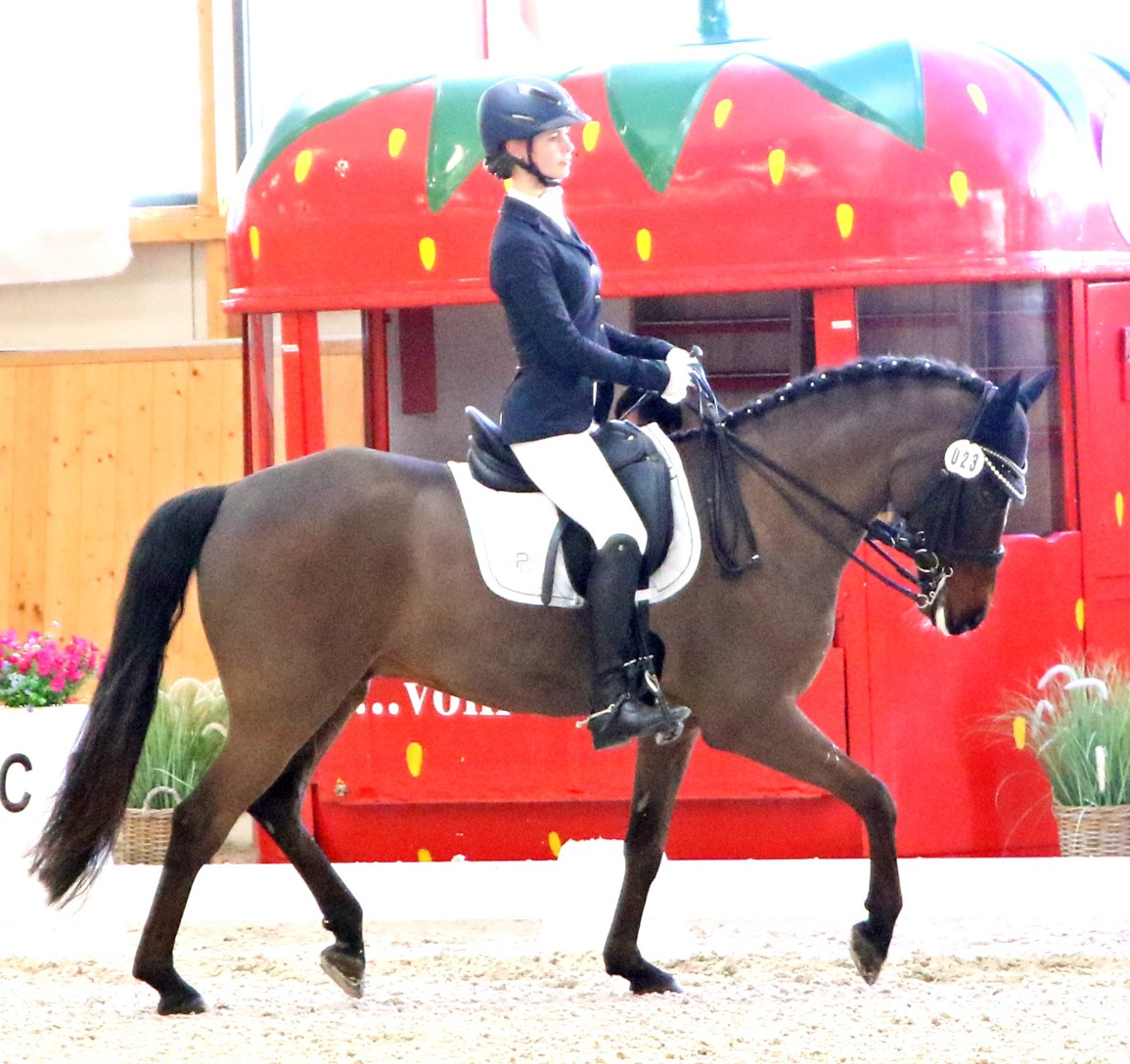 Corinne Rieger vom RC Passin gewann mit Pony Nix Nil die M-Dressur M5. © KaLo