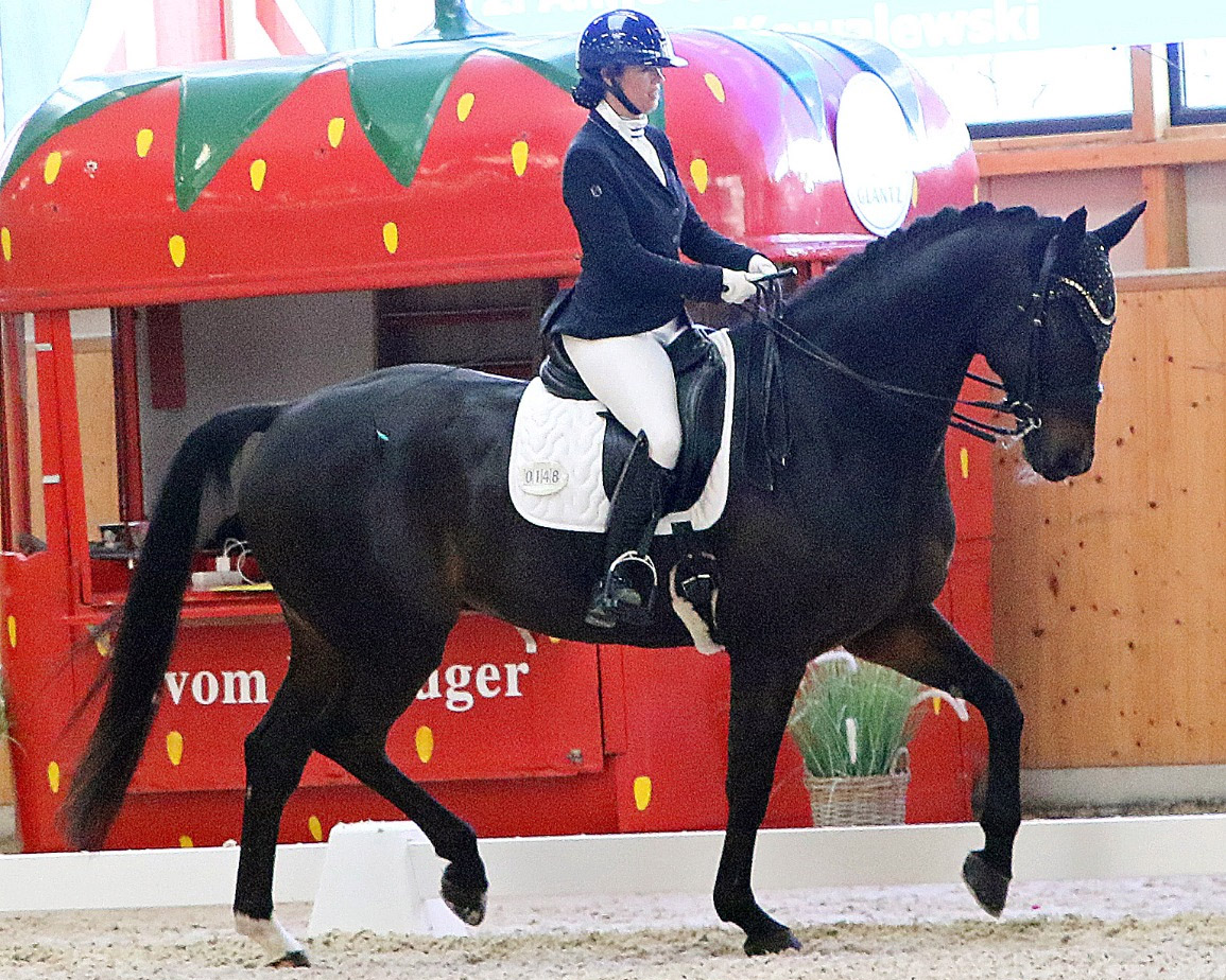 Auch Katja Gleisner (TSP Güstrow) kam zu einem Sieg. Sie gewann mit Negros son die L-Dressur L11. © KaLo