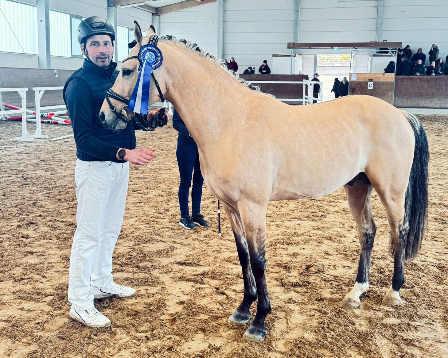 Kat.Nr. 09 Deutsches Reitpony, Braunisabell 3J. (146cm) von Gold Garant NRW. © VPZMV