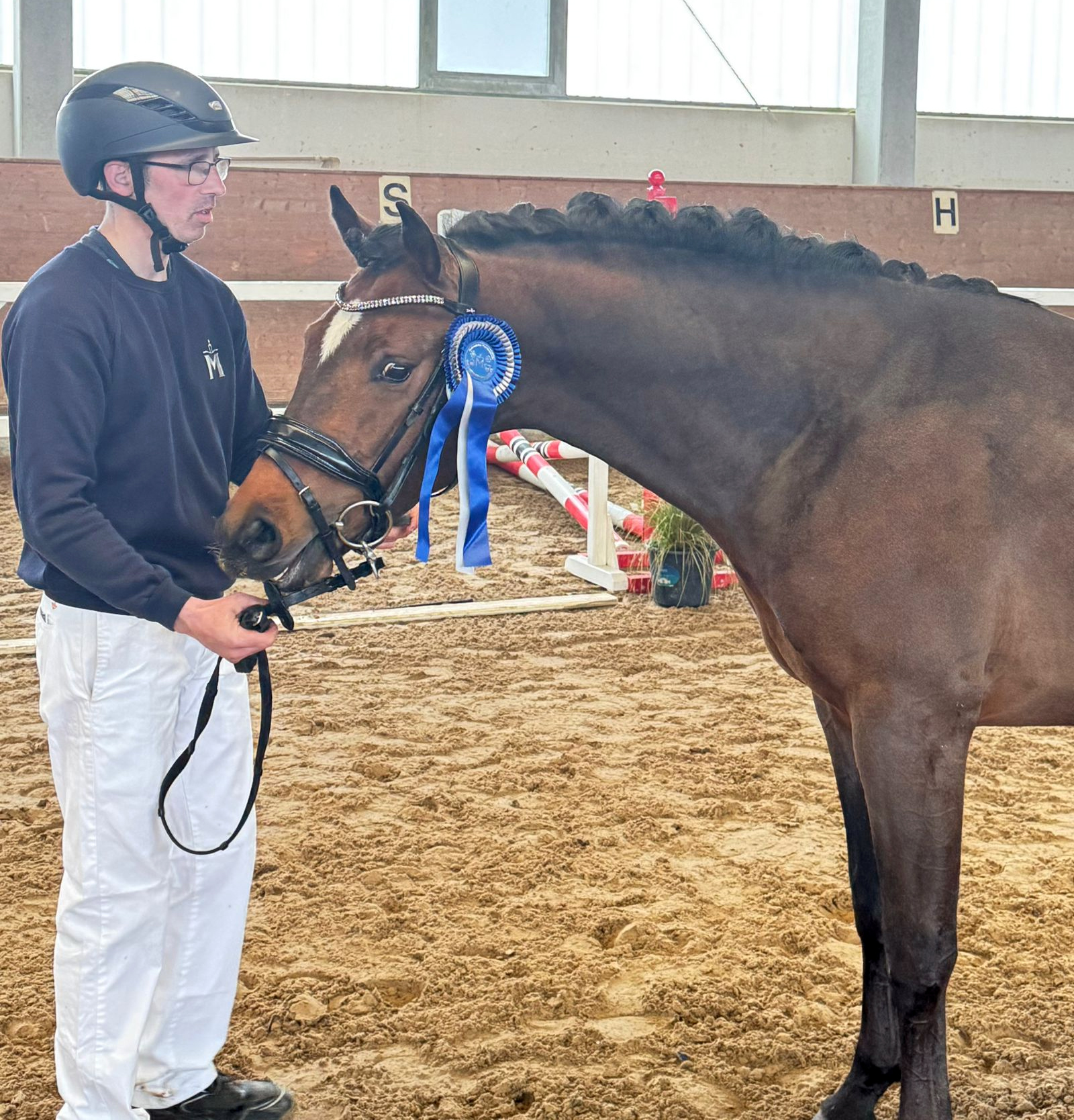 Kat.Nr. 10 Deutsches Reitpony, Dunkelbraun 3J. (144cm) von New Berlin E WE. © VPZMV