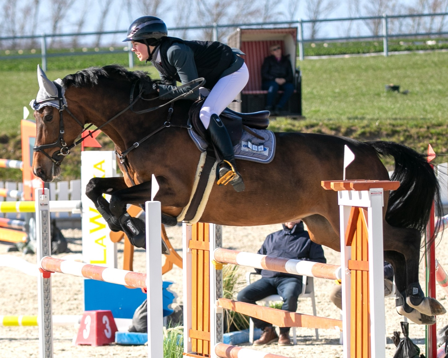 Mit dem 2. Platz in einer M2*-Abteilung gab es auch für Anni-Chalott Schmidt (Neu Benthen) auf Celeste de Trebox ein gutes Ergebnis. © KaLo