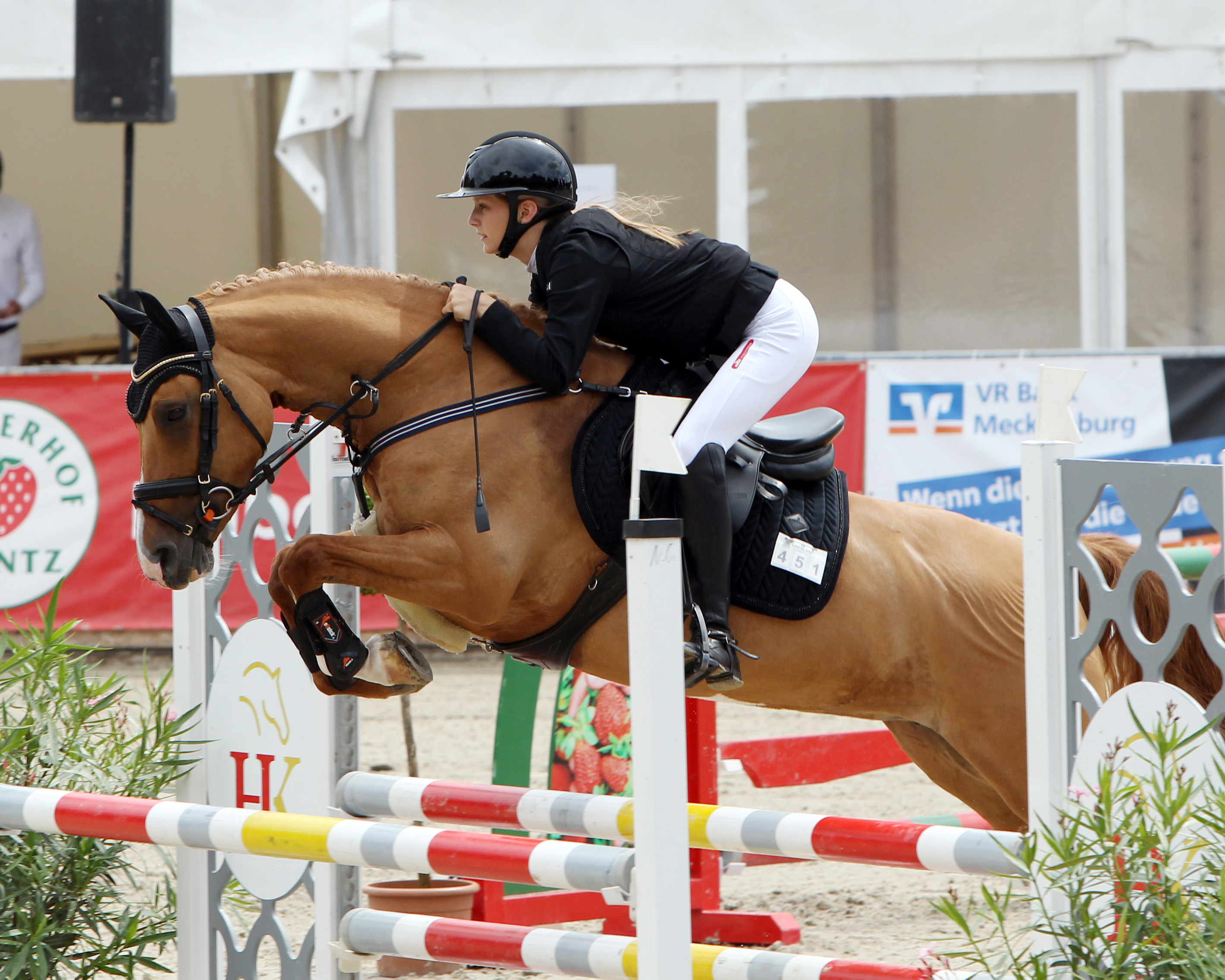 Springpferdetag und Jugend-Championat ruft die Reiter ins Landgestüt Redefin