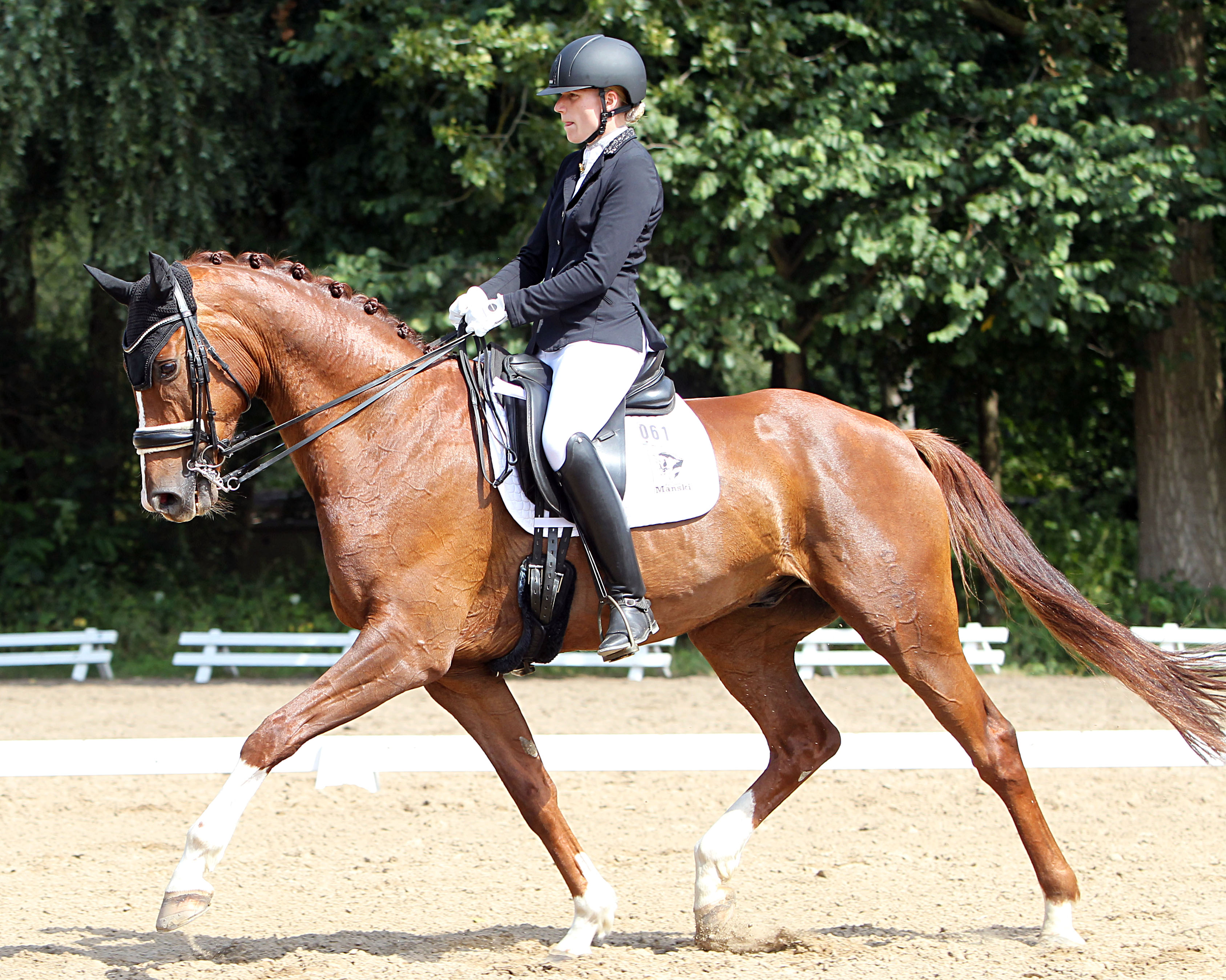 Die Reitanlage in Oldenhagen bei Neuenkirchen ruft wieder zum Frühjahrsmeeting