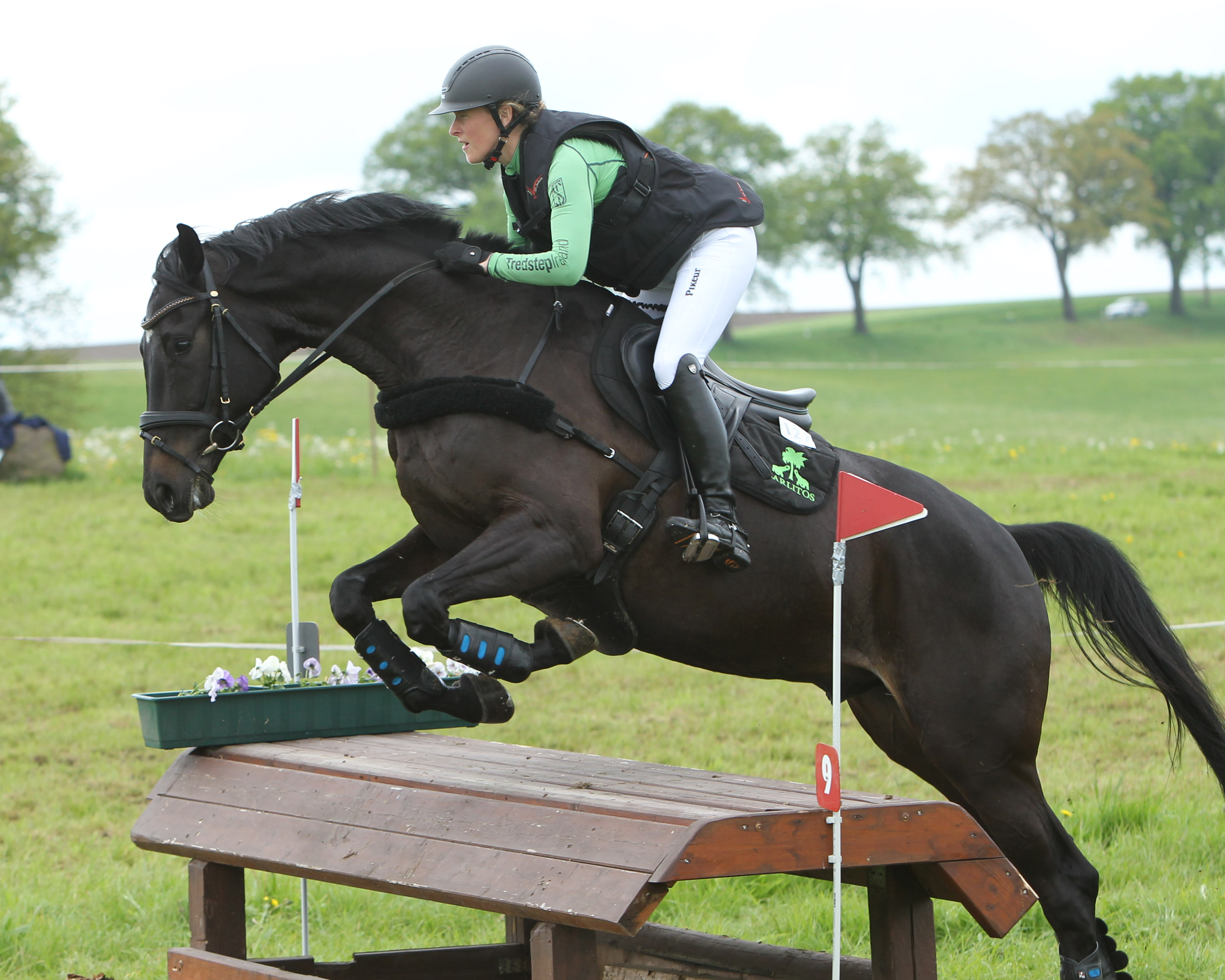 Löwenberg-Linde: Sieben Siege für Vielseitigkeitsreiter und Fahrer aus Mecklenburg-Vorpommern