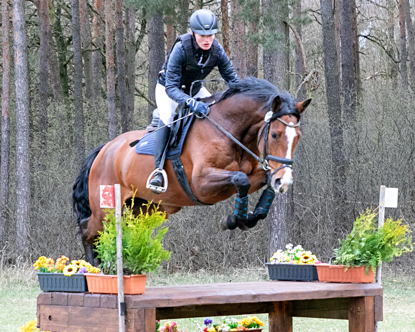 Paula Fatteicher (Neuendorf) gewann auf Calla GS mit Wertnote 8,7 die Geländepferdeprüfung Klasse A2*. © KaLo