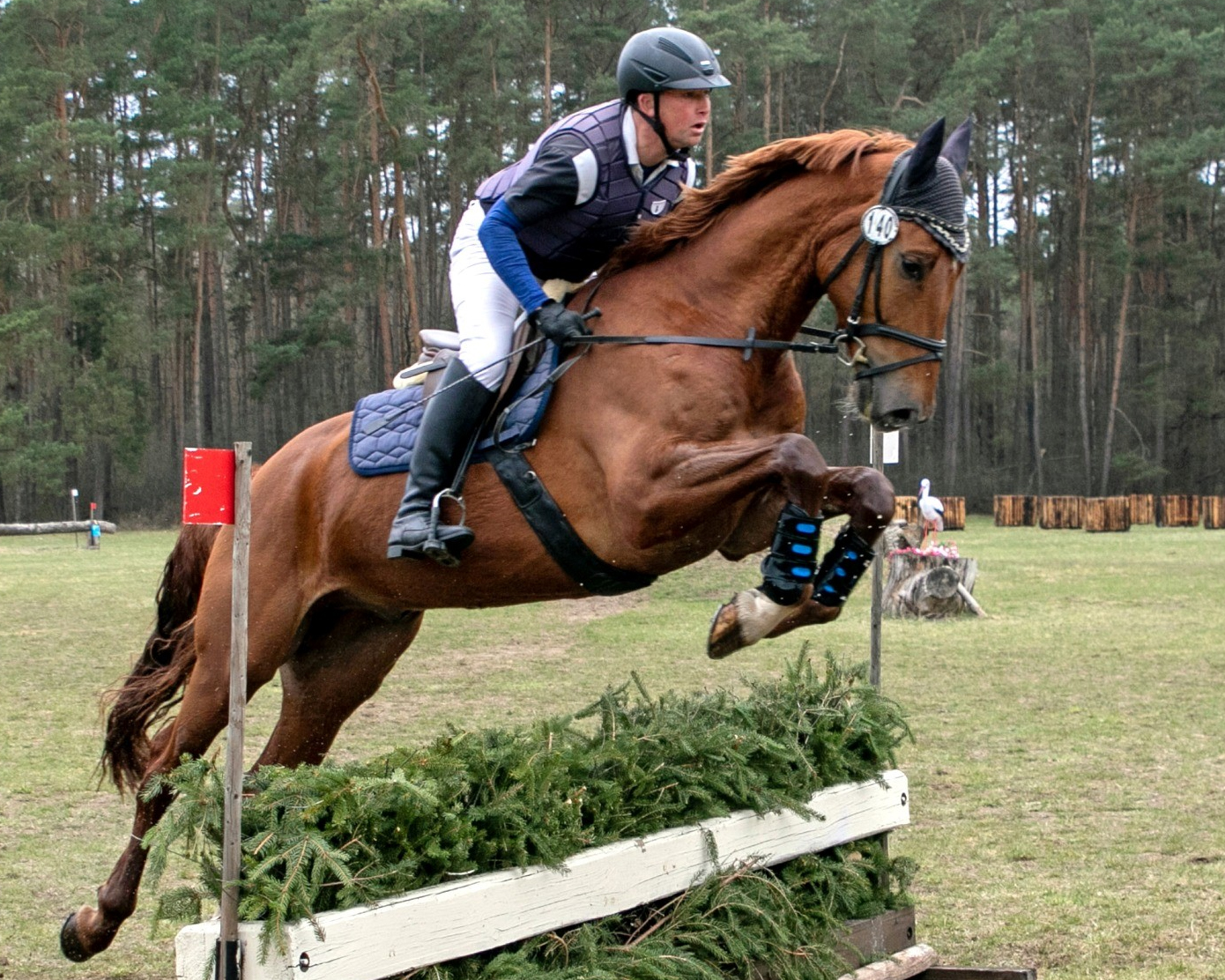 Fünf Platzierungen gab es für Andreas Brandt (Neuendorf), drei auf dem mit D’Olympic selbst gezogenen Dantes Peak B. © KaLo