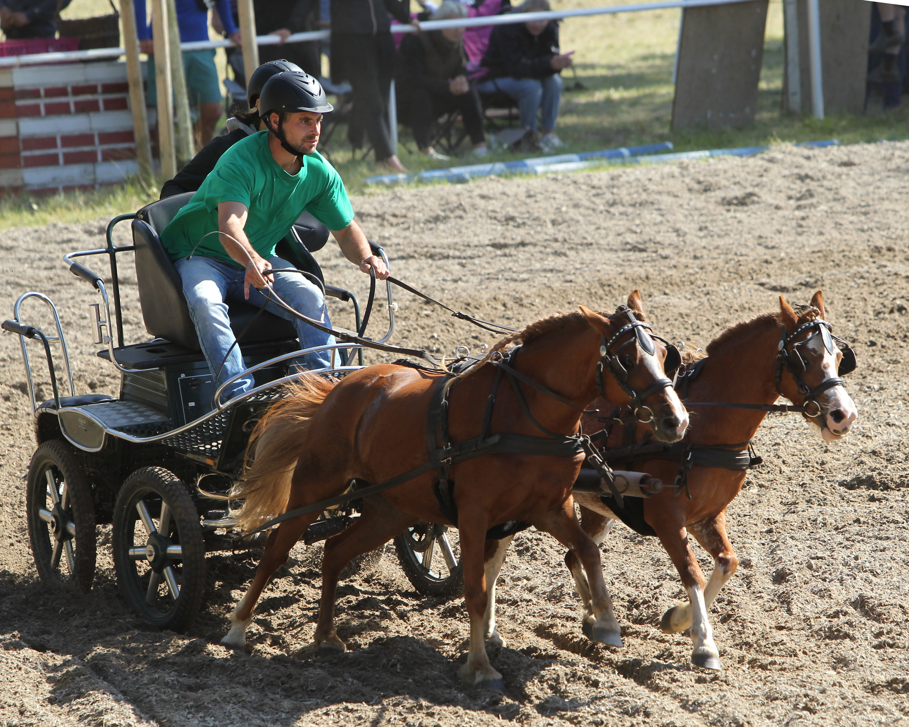 Silvio Schröter von Sana-Rügen hat die Zweispänner Kombi mit seinen Welsh B-Ponys gewonnen (hier bei einem Schauwettbewerb). © KaLo