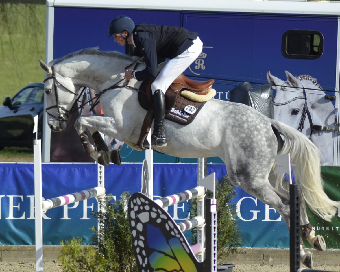 Zwei M-Springen gewann Hendrik Geve (Redefin), das Stilspringen (Qualifikation zum Partner Pferd Cup) mit 8,8 auf dem Schimmel Manhatten, das Zwei Sterne Springen auf Uncle Jo. ©