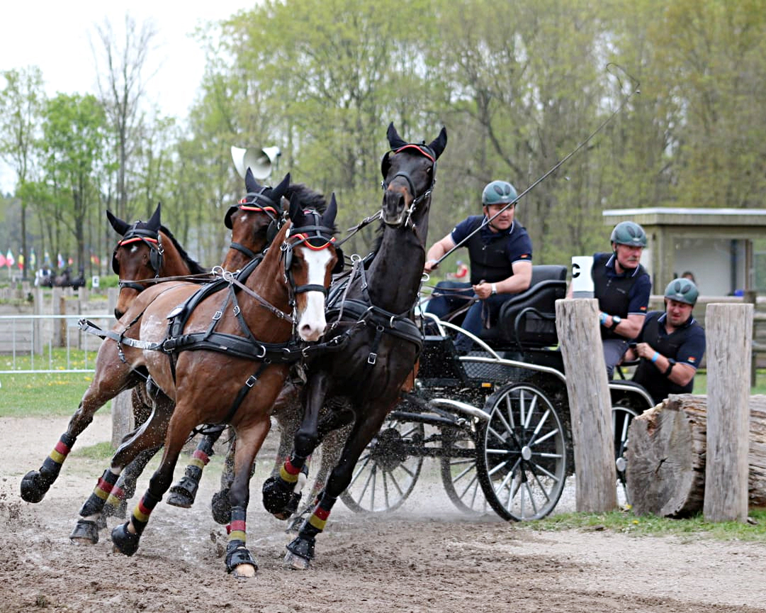 Kronenberg/NL: Zweiter Platz für Deutschland beim Nationenpreis beim CAIO4*