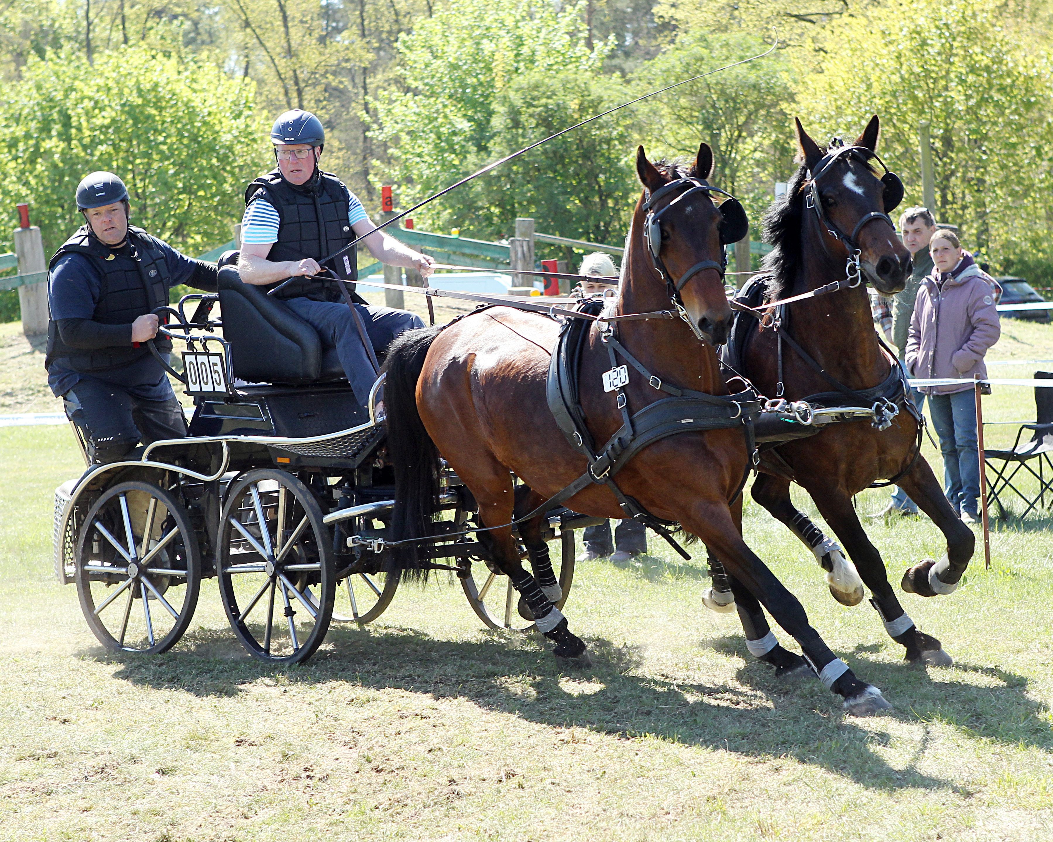 Das 28. Blievenstorfer Fahrturnier mit Landesmeisterschaften beginnt