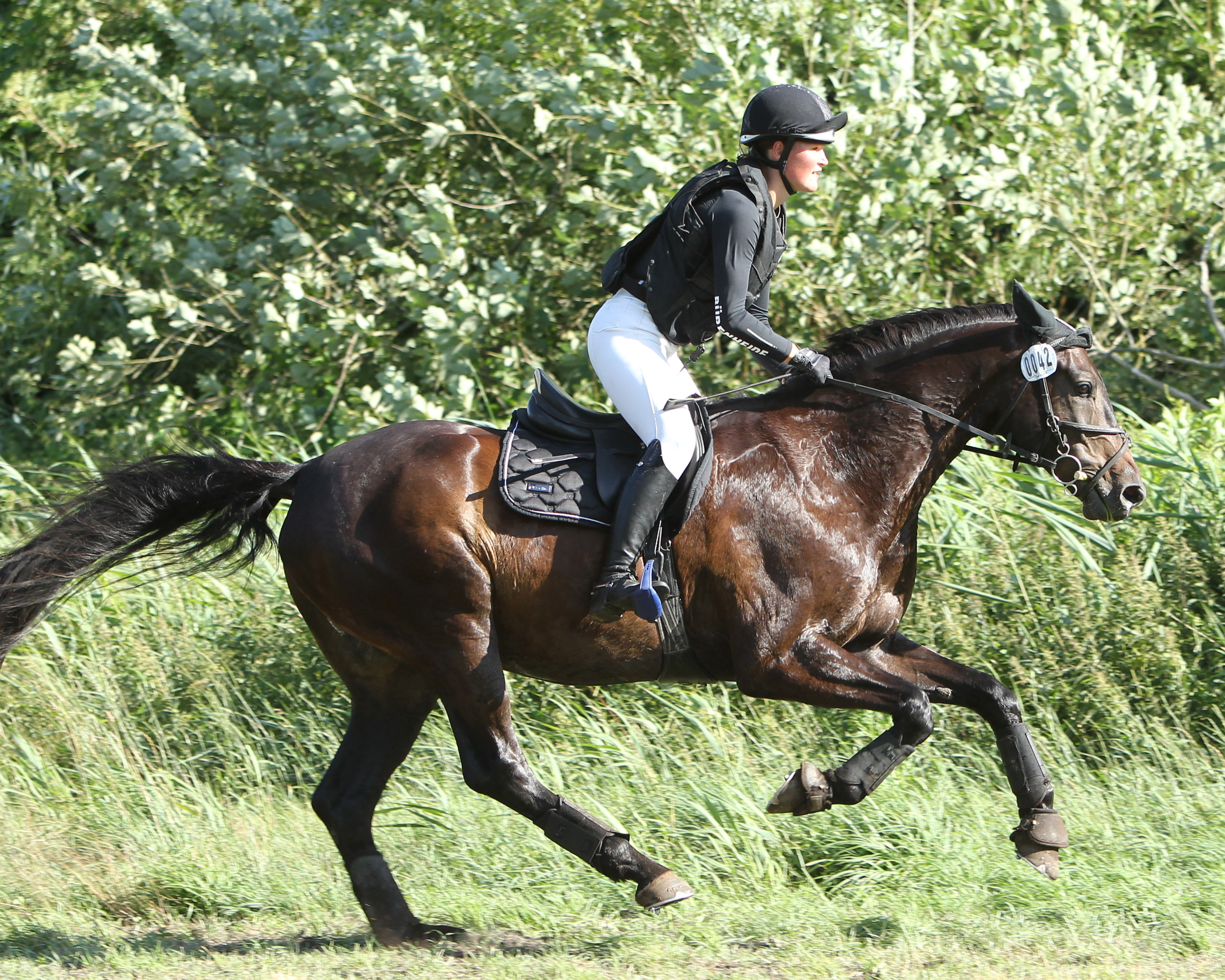 Luhmühlen: 8. Platz für Emelie Bürenheide im CCI2*