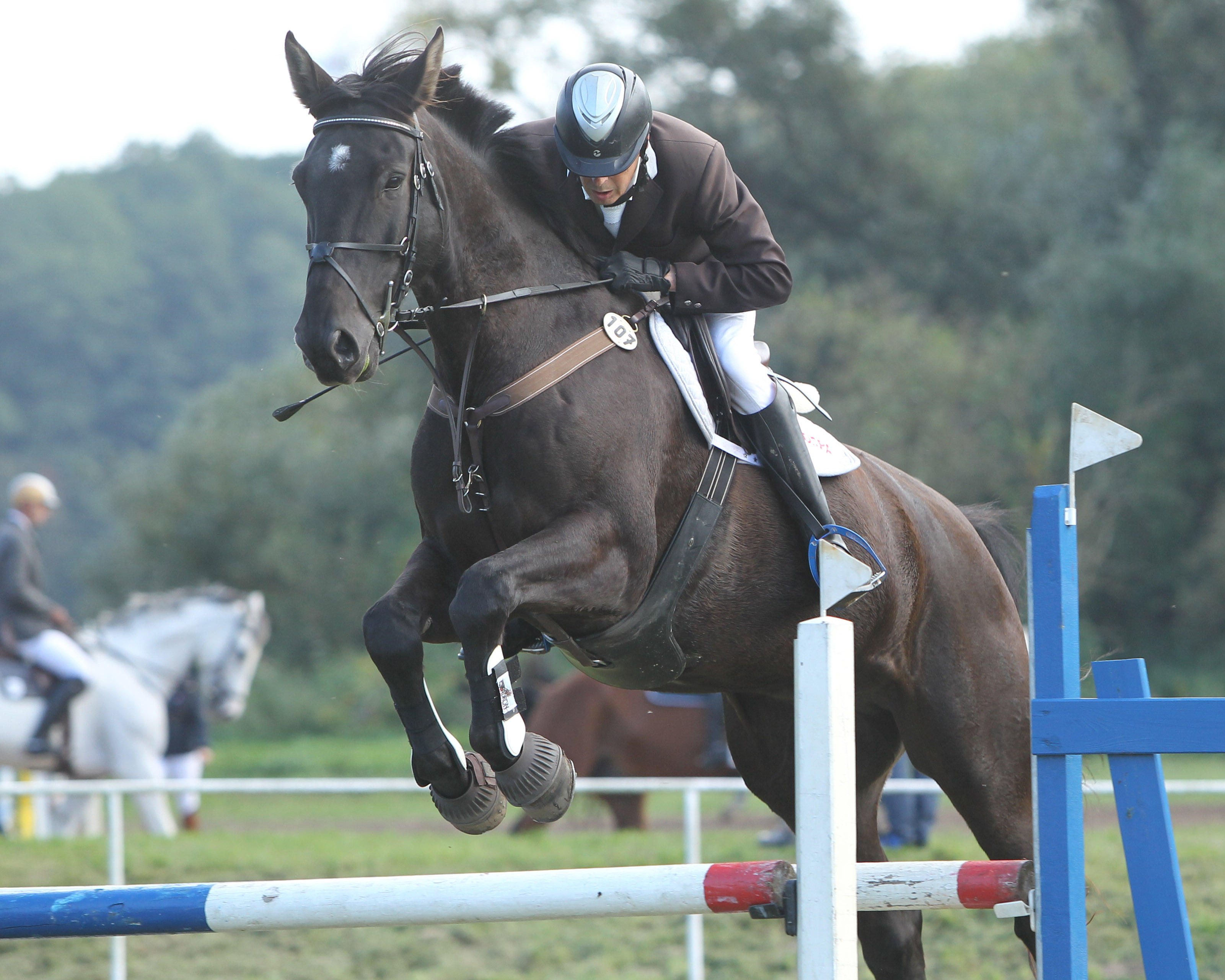 Frühjahrsmeeting Neubrandenburg: Dieter Gottschalk gewann das Hauptspringen