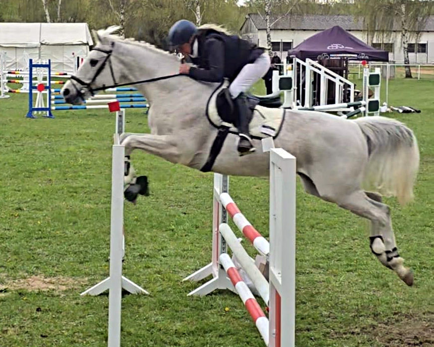 Nach einer lebensbedrohlichen Verletzung im letzten Jahr sitzt Anke Schüler wieder im Sattel, reitet jetzt dür den RSV Vier Tore Neubrandenburg und wurde im L-Springen Dritte mit dem 11-jährigen Collin. © C. Starke