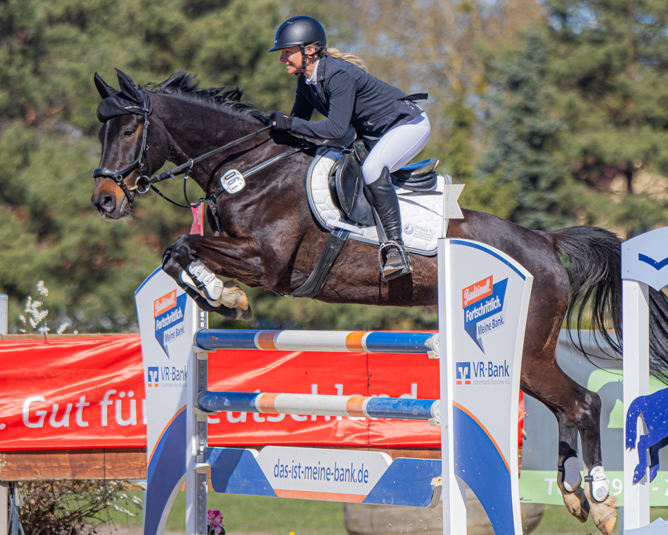 Polzow: Anne Wejda gewann mit Cellestra den Großen Preis