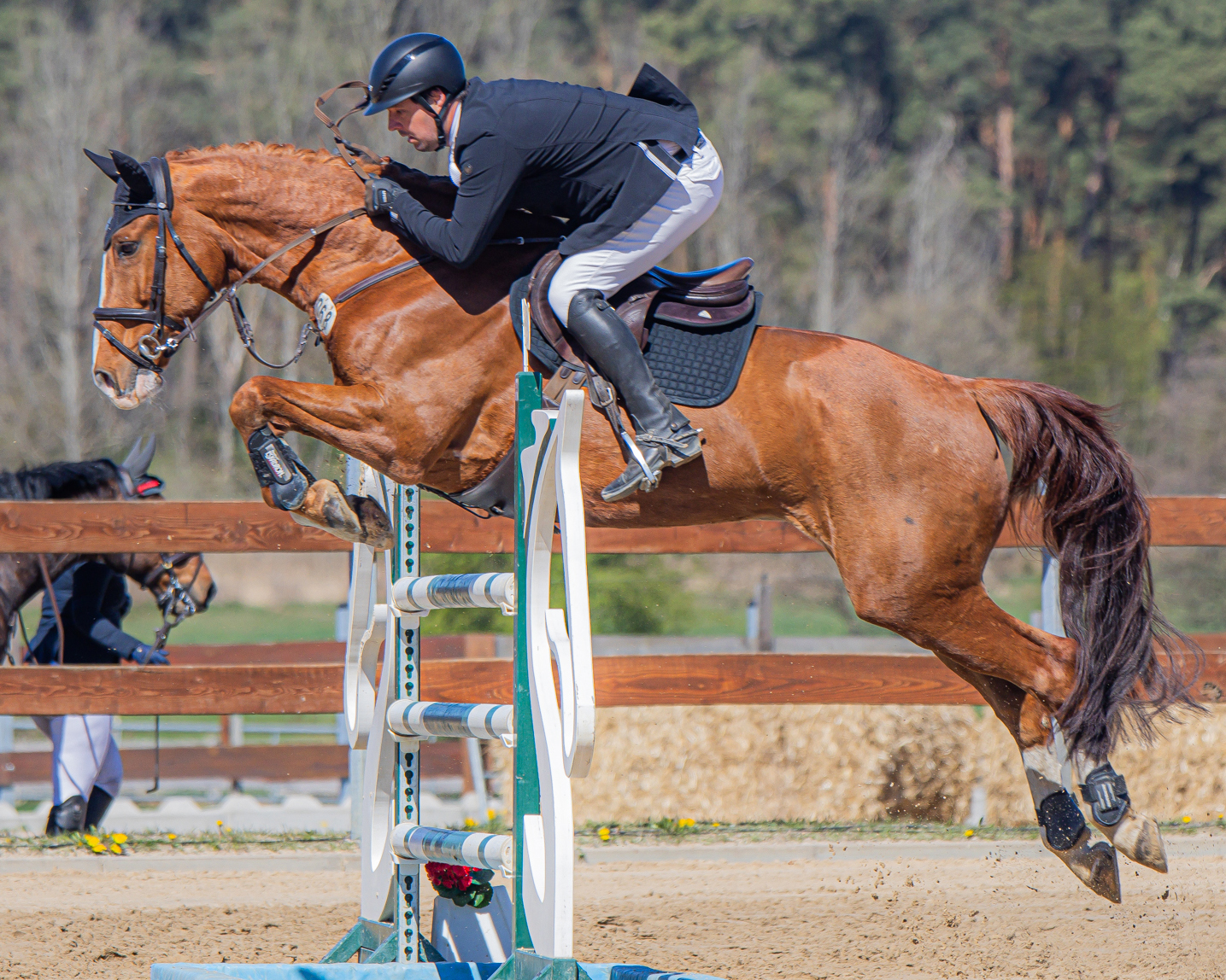 Zwei M-Siege gingen an Julian Sass (Schmarsow-Ausbau) auf dem 18-jährigen Chacco-Max, mit dem er 2020 Landesmeister wurde. © Sophia Boge