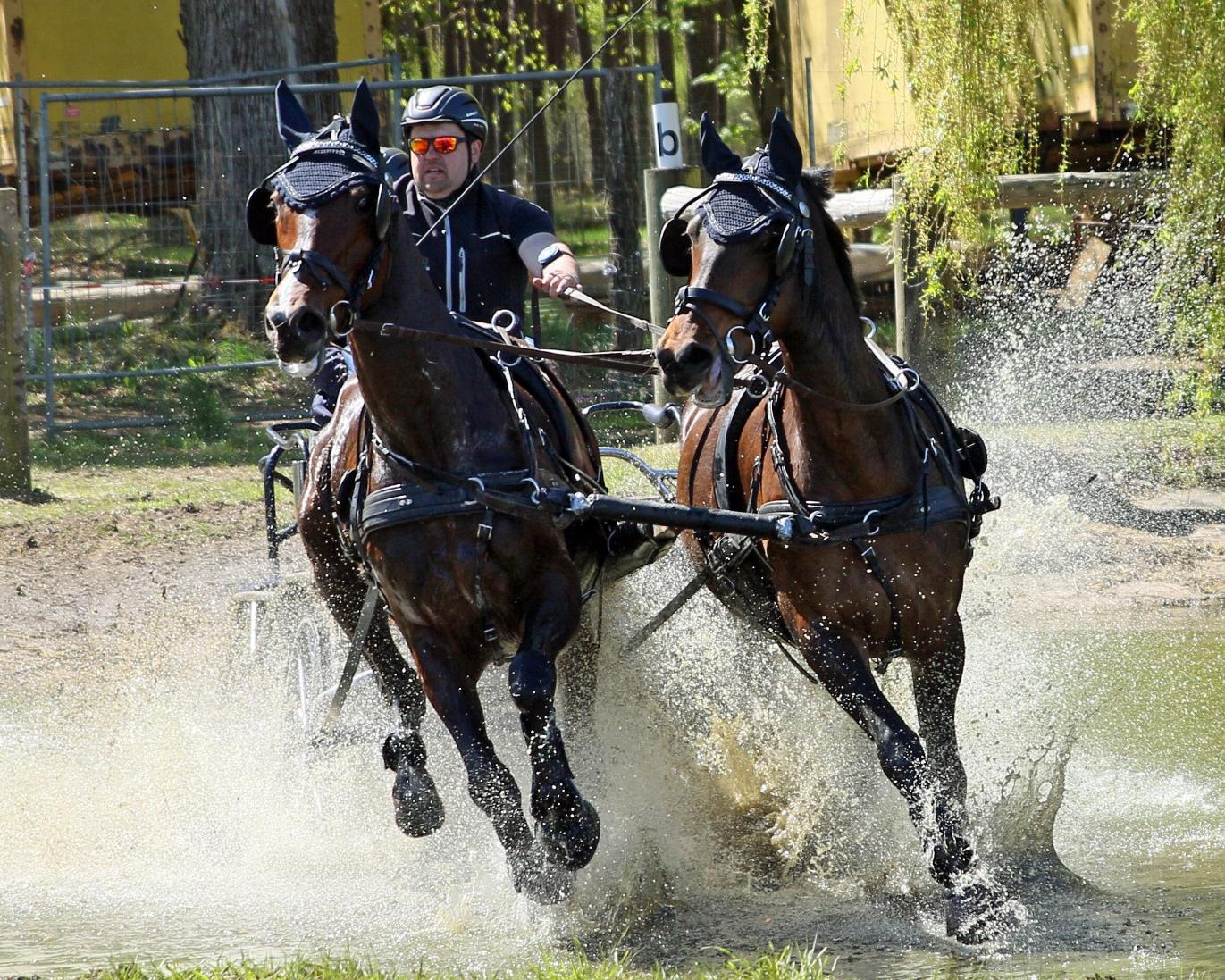 Landesmeister Tobias Kriemann (Reitergilde Katzow) mit Bella Donna und Lena. © KaLo