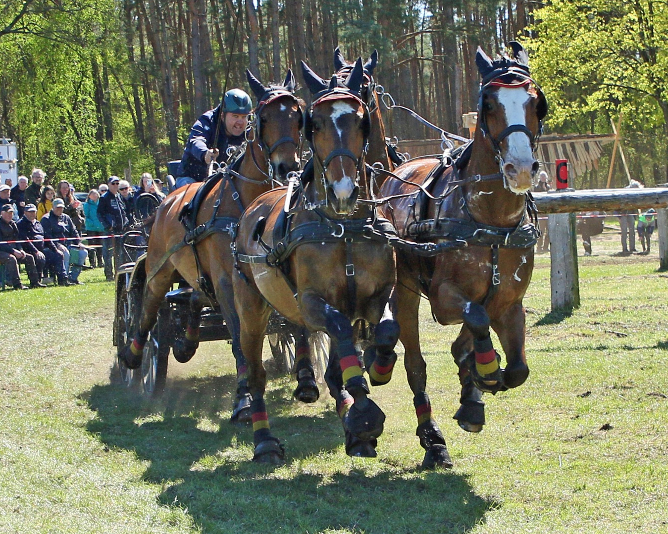 Im Gelände kam die ganze Dynamik, Kraft und Mut von Mario Schildt erneut zum Ausdruck. © KaLo 