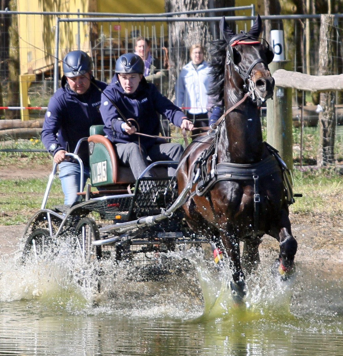 Marvin Schildt tritt ganz in die Fußtapfen seines Vaters und gewann überlegen die Geländefahrt der Einspänner mit Edje. © KaLo
