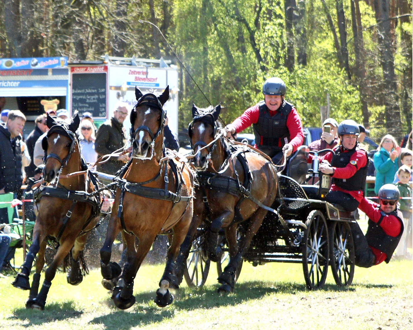 Einen Start-Ziel-Sieg in der Vierspänner-Kombi für Ponys gab es für Nicky Paluszek aus dem sächsischen Panitsch. © KaLo