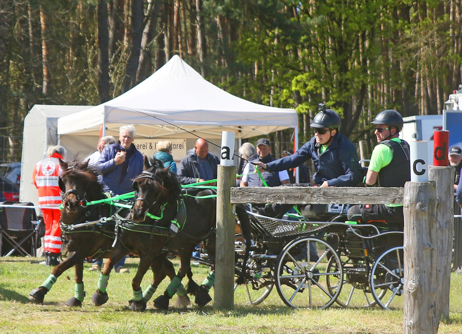 Pony-Vizelandesmeister Bjarne Kalsow vom Lewitzer FRV. © KaLo