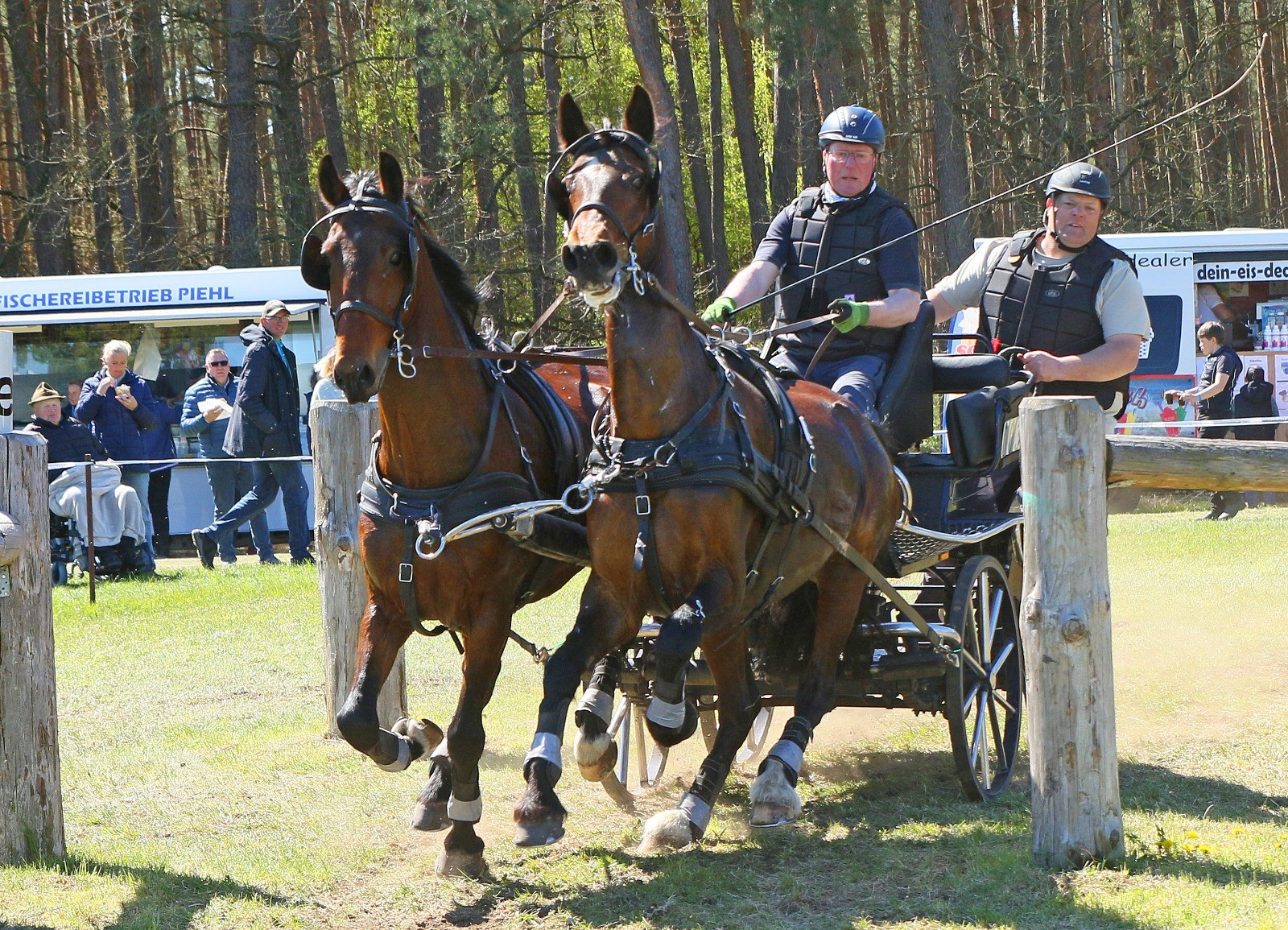 Der Bronzemedaillengewinner bei den Pferde-Zweispännern Jörg Bogdan vom Lewitzer FRV. © KaLo