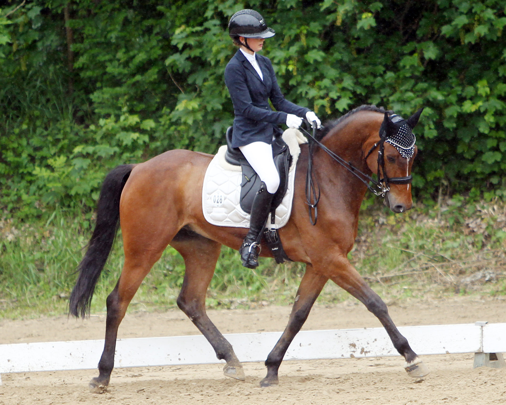 Groß Quassow: Finja Haase holte den M-Sieg zum Ritzerower Reitverein