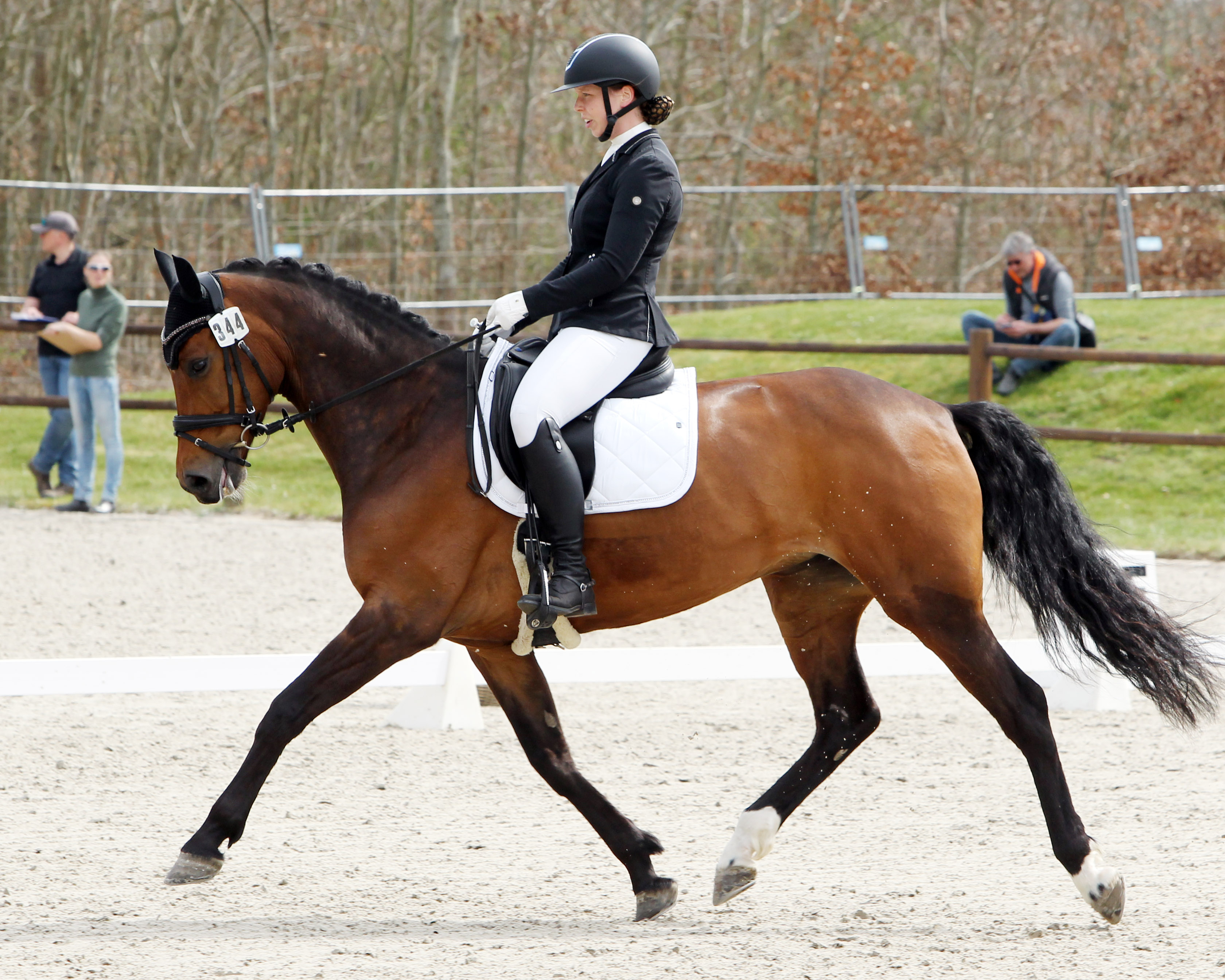 Siegerin der L-Dressur Aufgabe L2 wurde Anne-Marie Weckwerth aus Parkentin mit Dolina La Diva. © Jutta Wego
