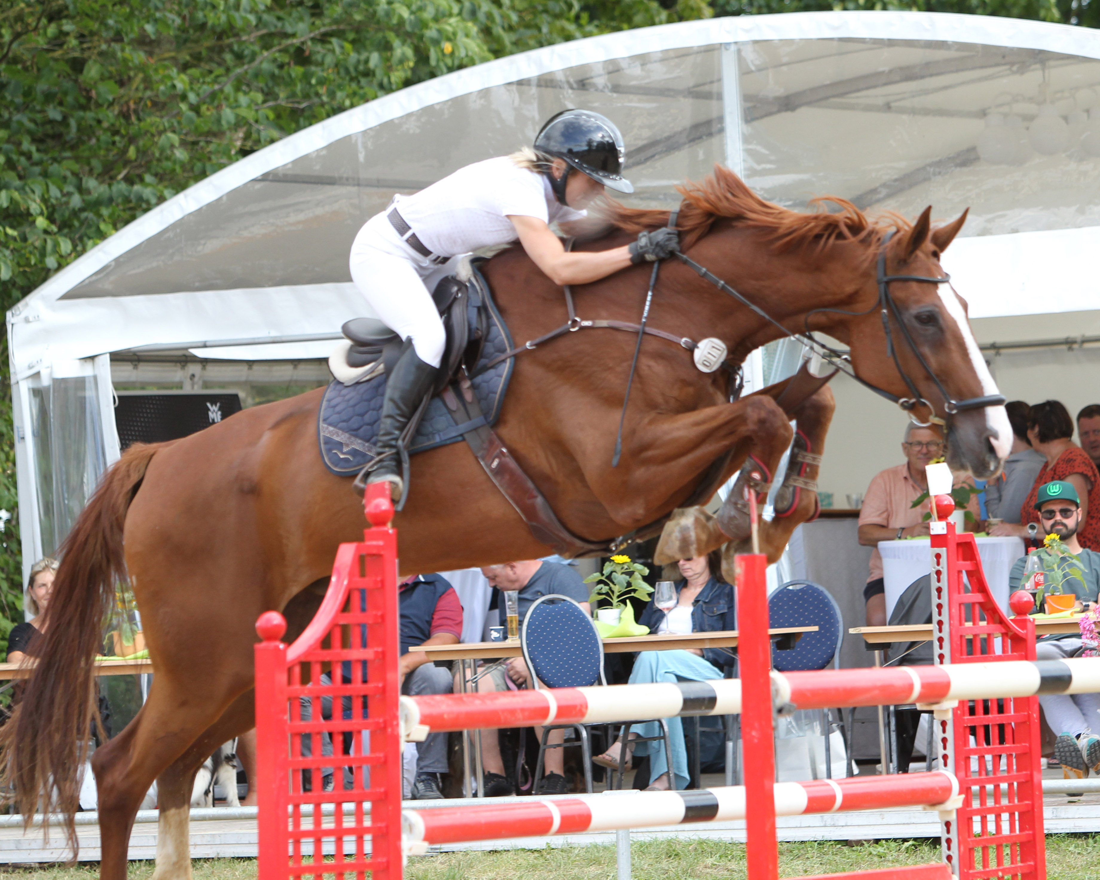 Danila Schröter (Holzendorf) gewann mit Alaskin beide M-Springen und platzierte sich auf Kadillo in den A-Springen auf dem 2. und 3. Platz. © Archiv Wego