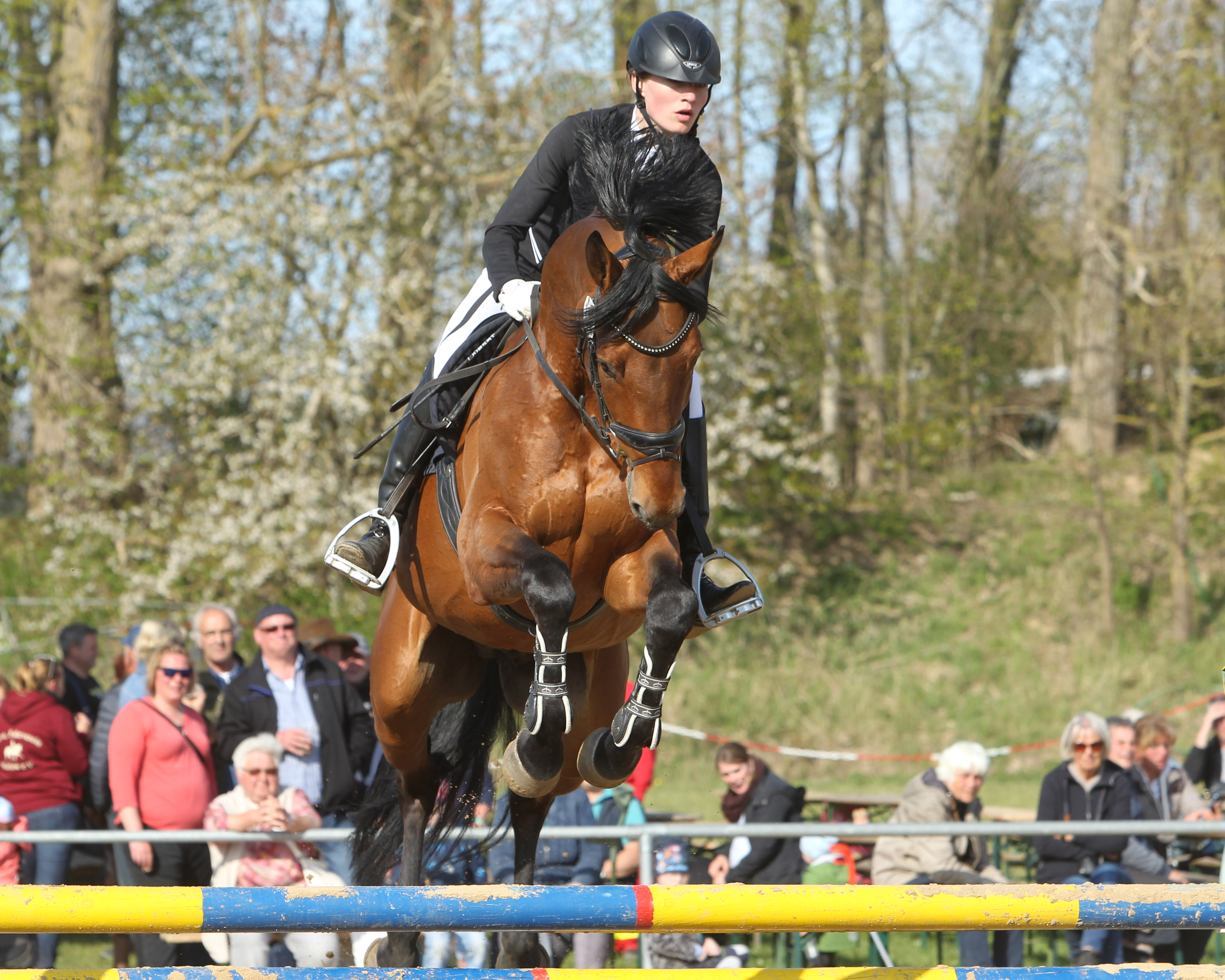 Paula Fatteicher holte den Sieg im L-Springen nach Neuendorf (das Foto zeigt sie mit dem Trakehner Hengst Carlsson). © Archiv Wego