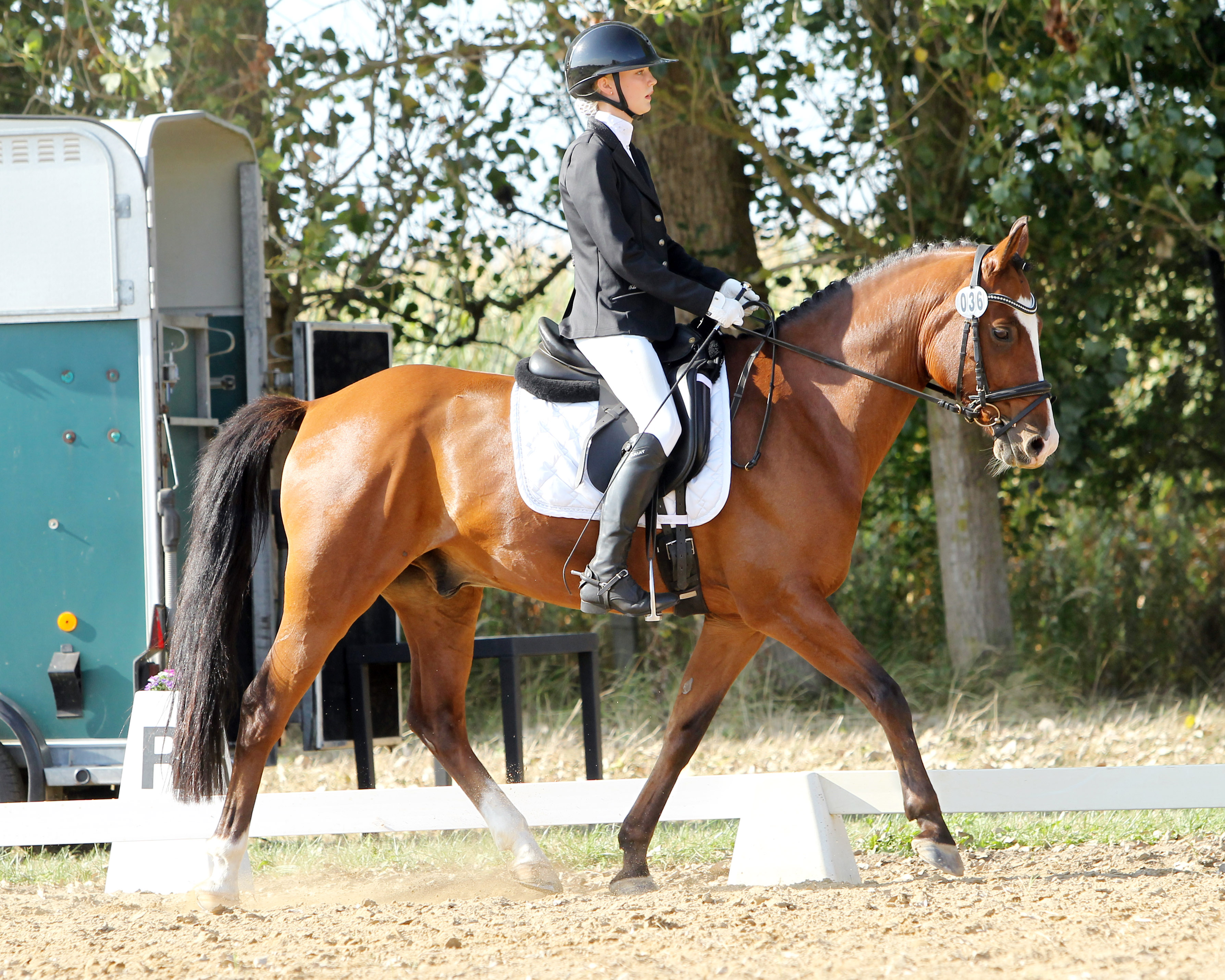 Zwei Dressursiege gab es für Anna-Lena Jürgens (Wusterhusen), die L-Dressur L2 gewann sie auf der Ponystute Daponte vM. © Jutta Wego