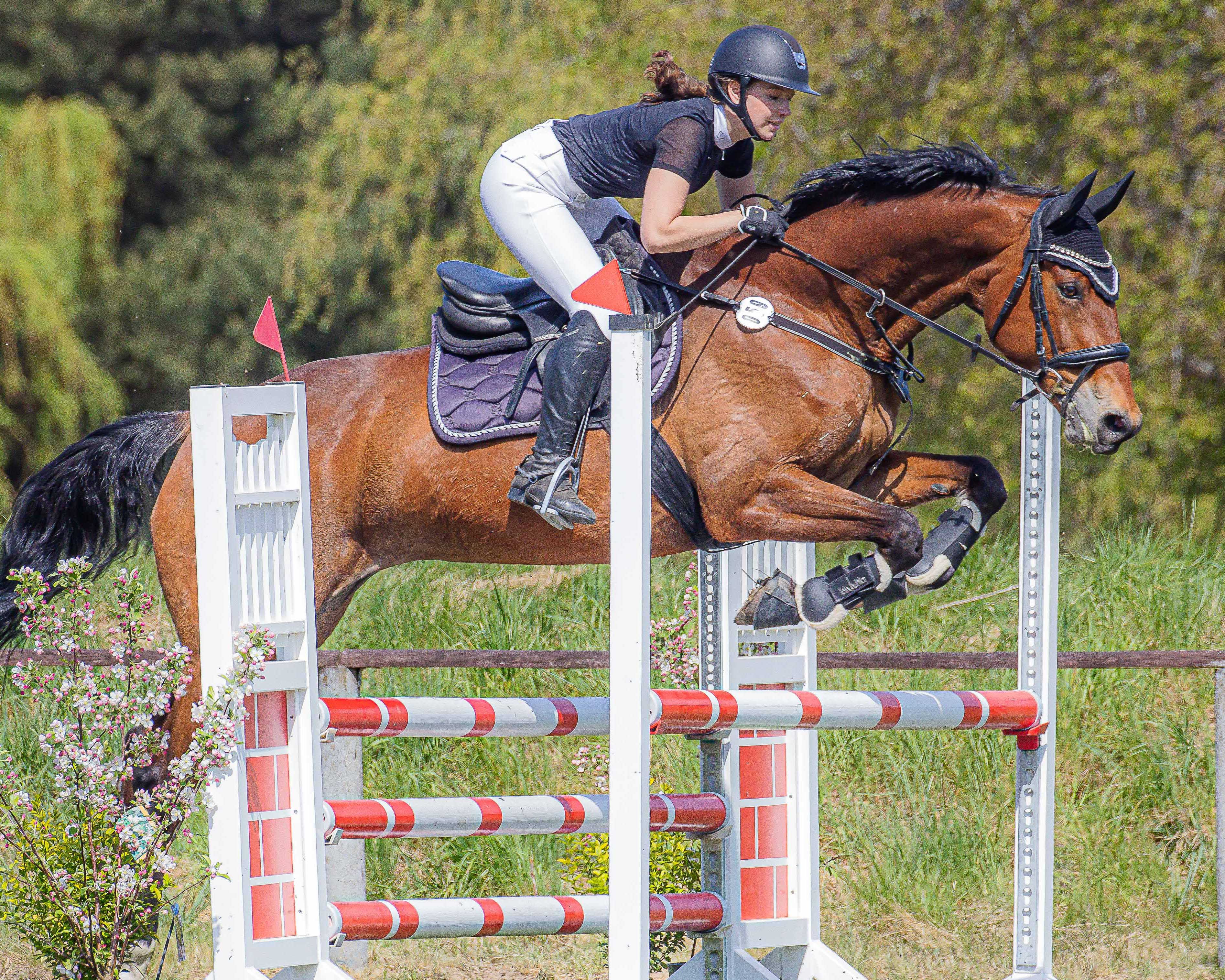 Greta Moritz gewann mit Collina das Zwei-Phasen-Springen Klasse A für den ZRFV Wusterhusen. © Sophia Boge