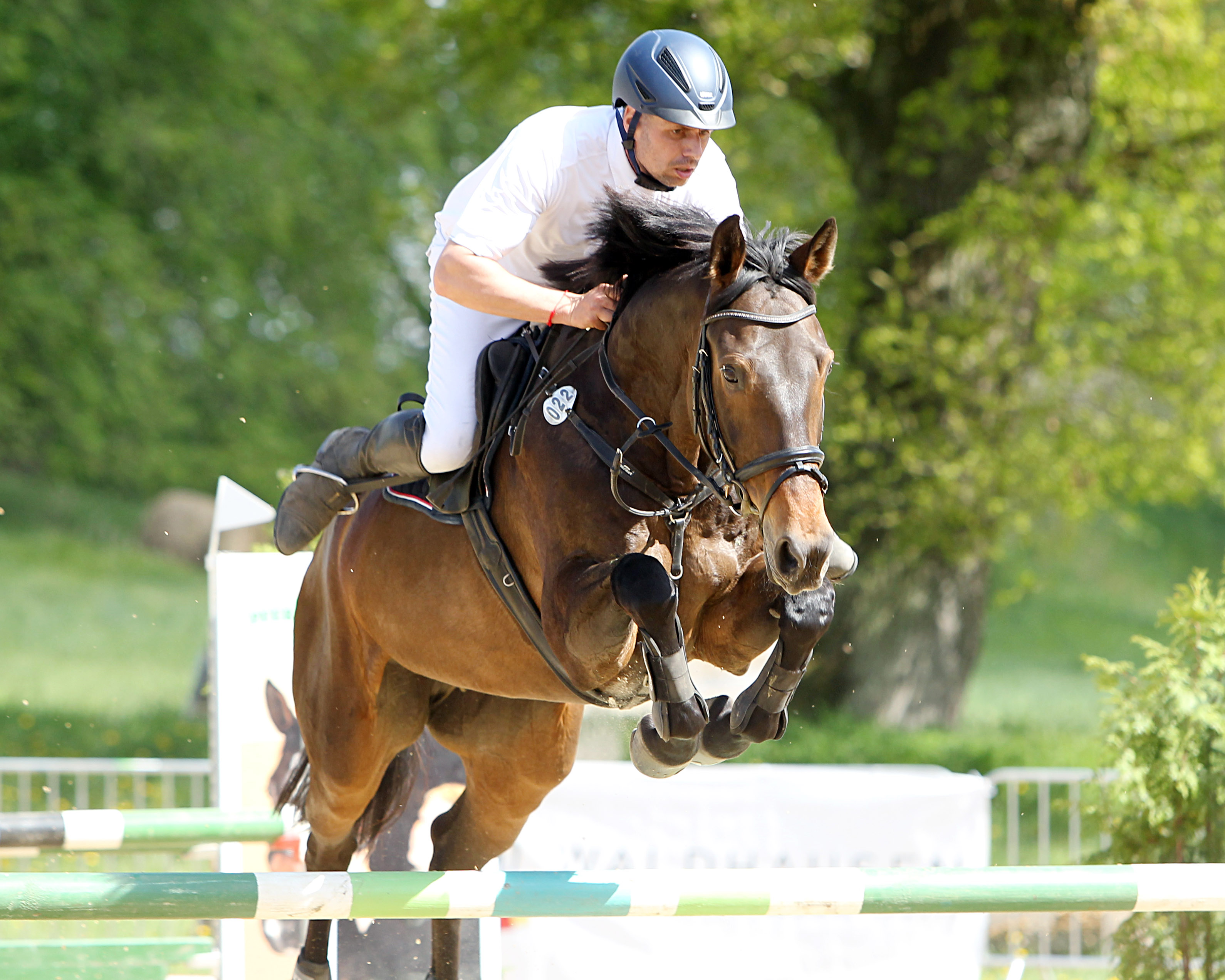 Normen Hartig ging am Sonntag nur zweimal an den Start und konnte mit der 10-jährigen Casaletta das L- und M-Springen gewinnen. © Archiv Wego